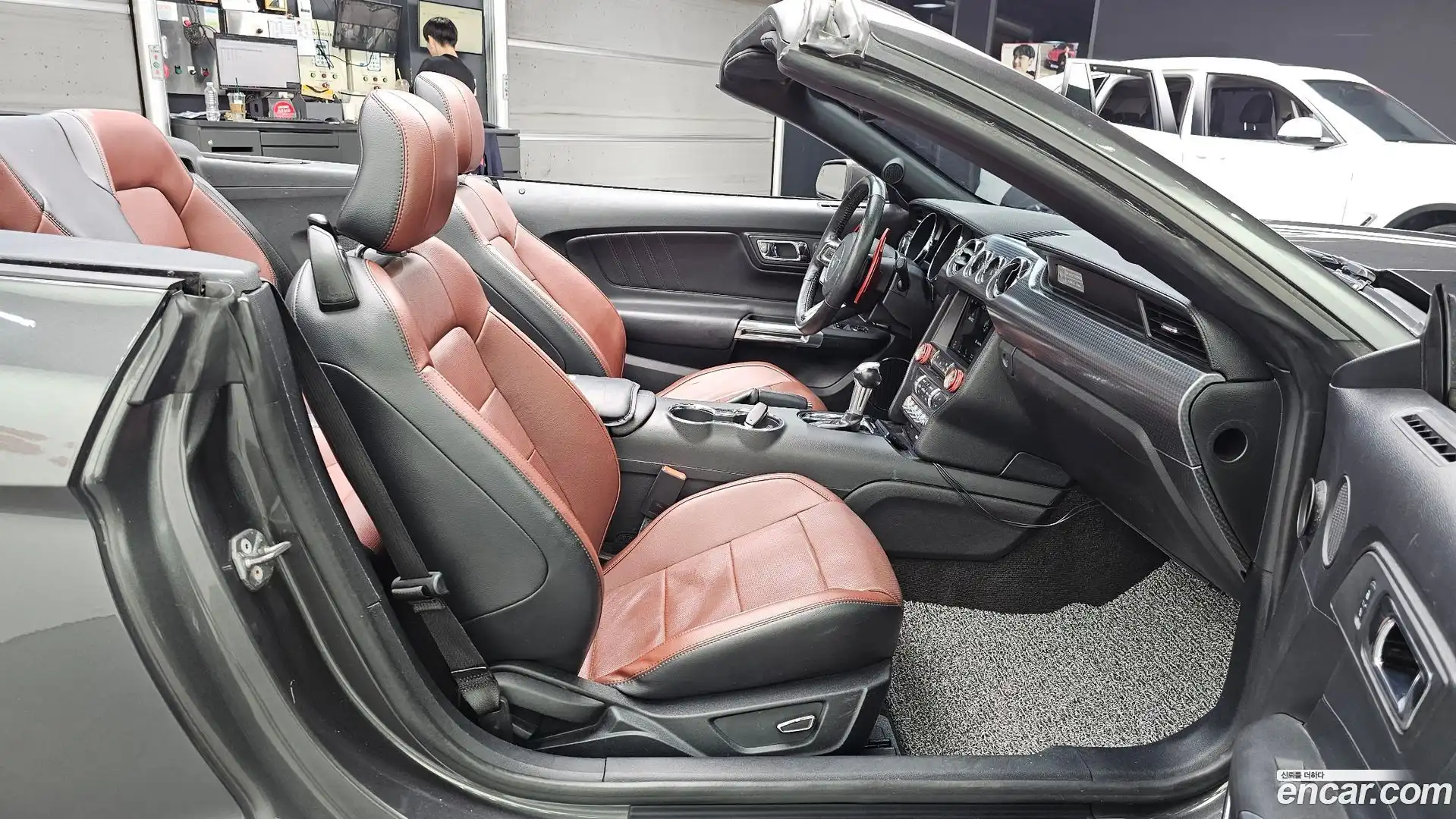 Mustang Ford 2016.7-OPTION-015
