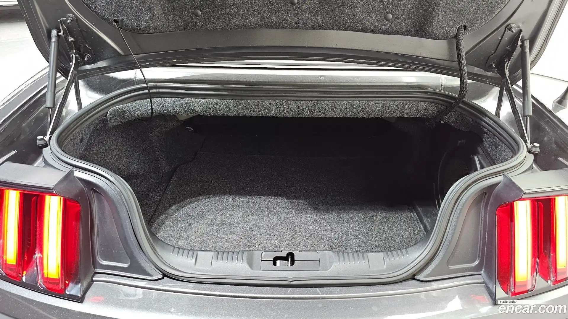 Mustang Ford 2016.7-OPTION-024