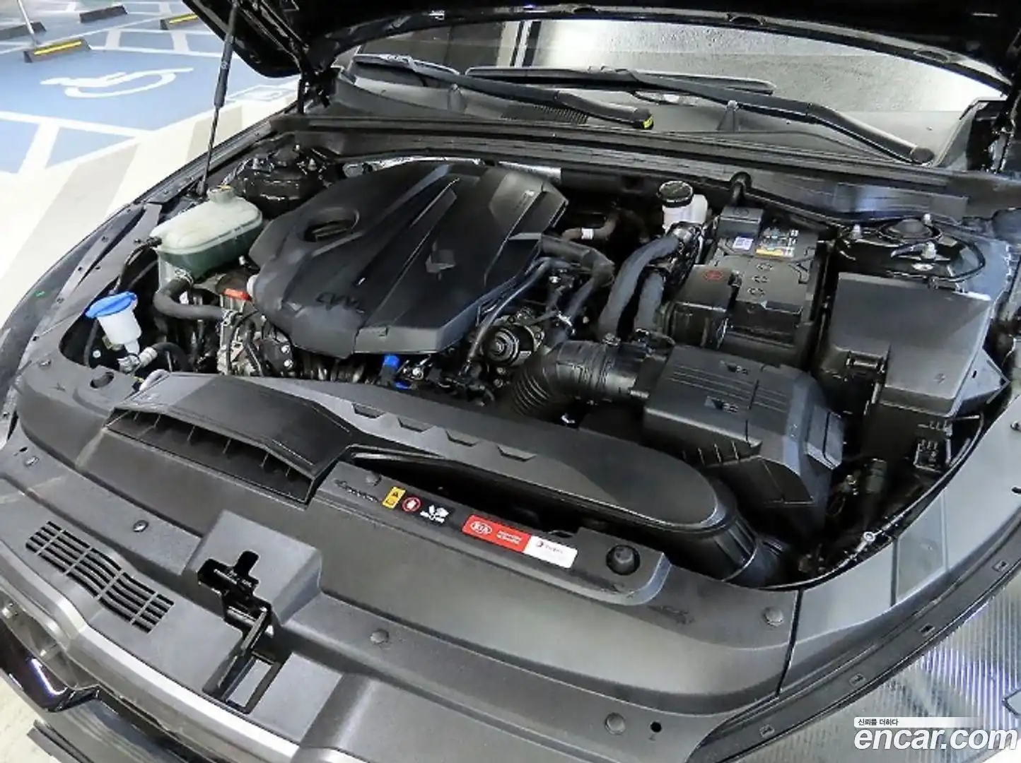 K5 Kia 2019.11-OPTION-023