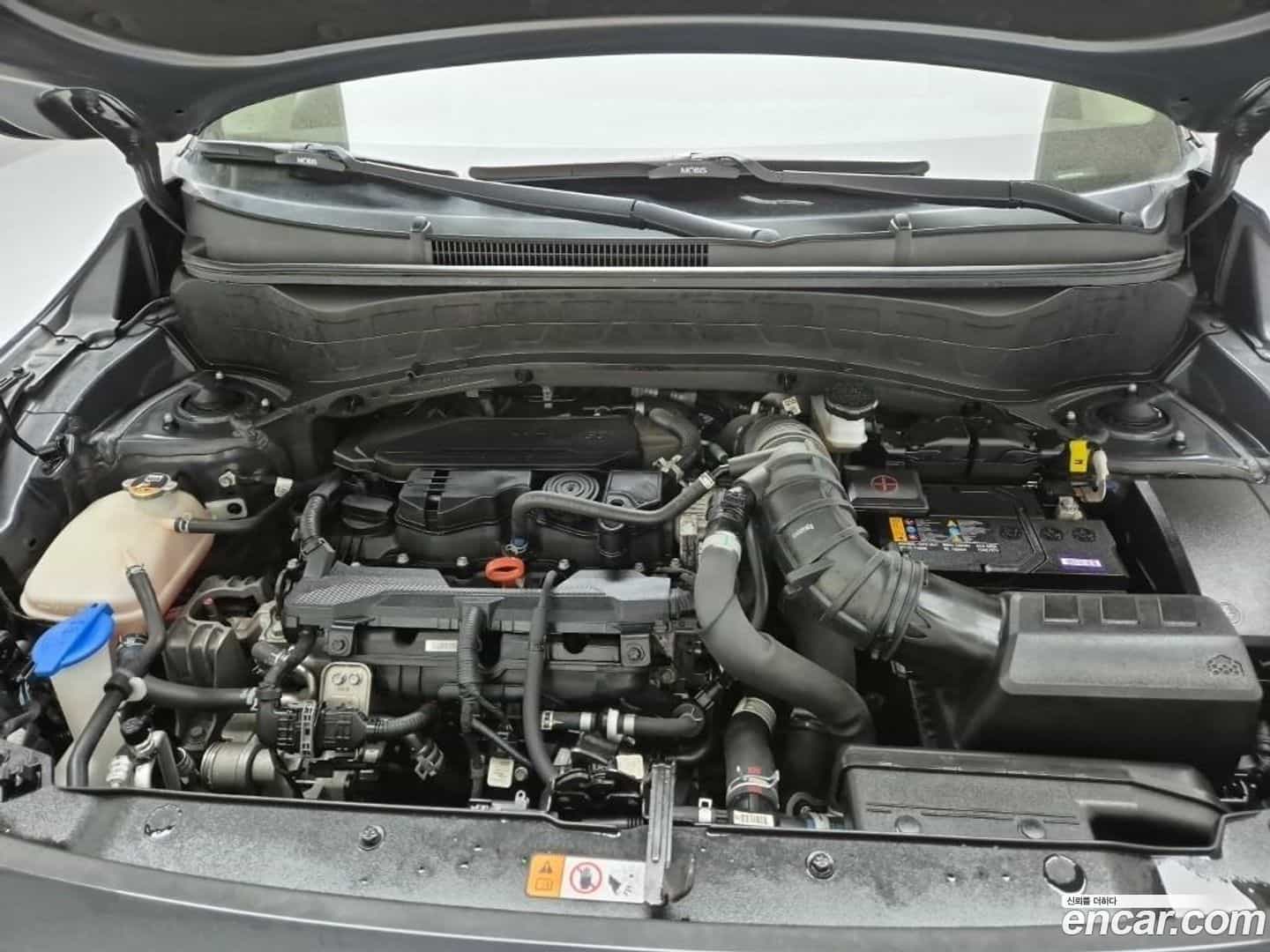 Seltos Kia 2022.8-OUTER-006
