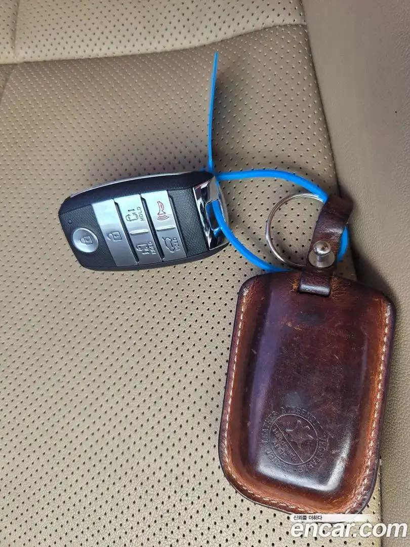 Canival Kia 2019.0-OPTION-024