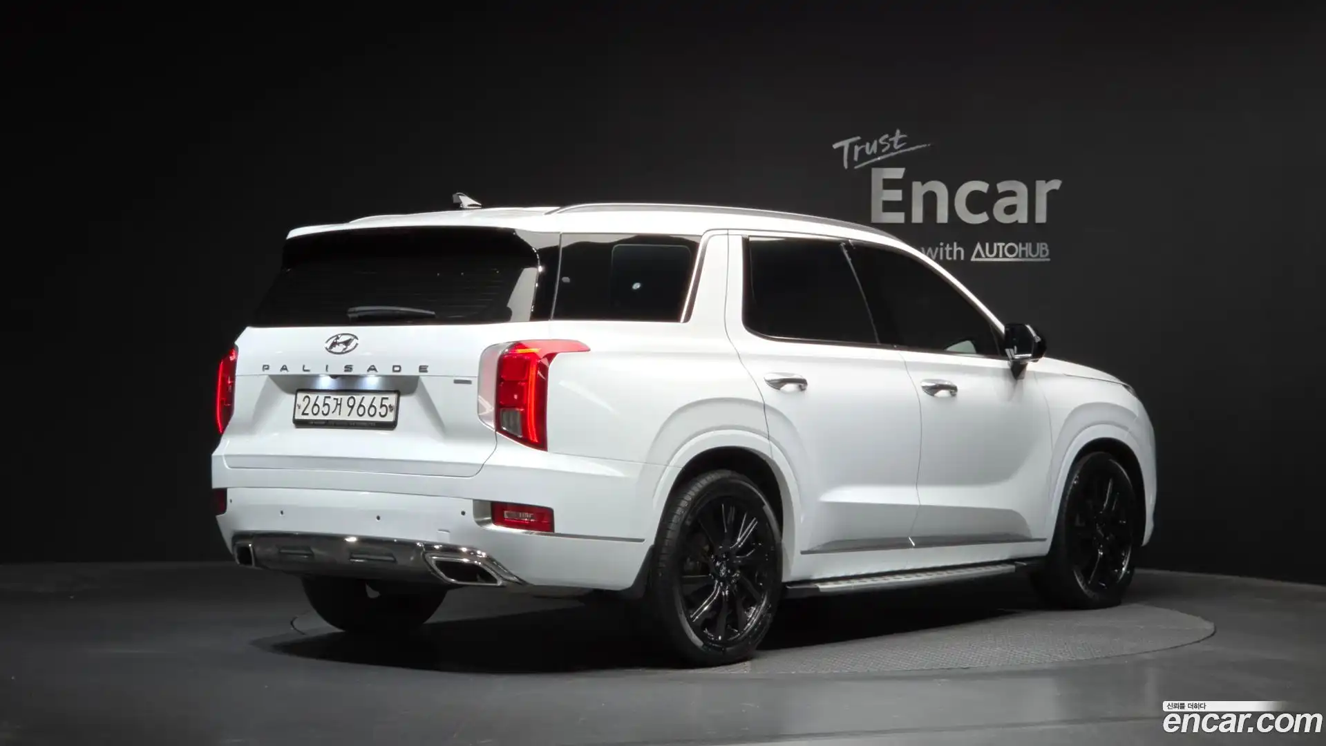 Palisade Hyundai 2019.1-OUTER-002