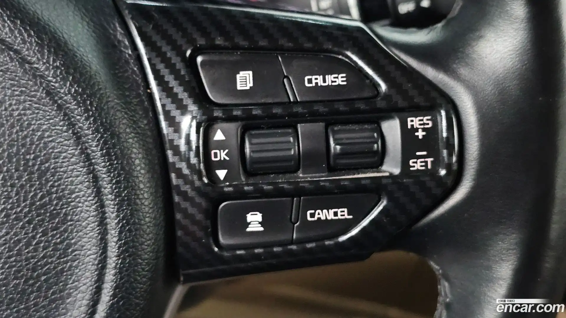 Canival Kia 2017.6-OPTION-020