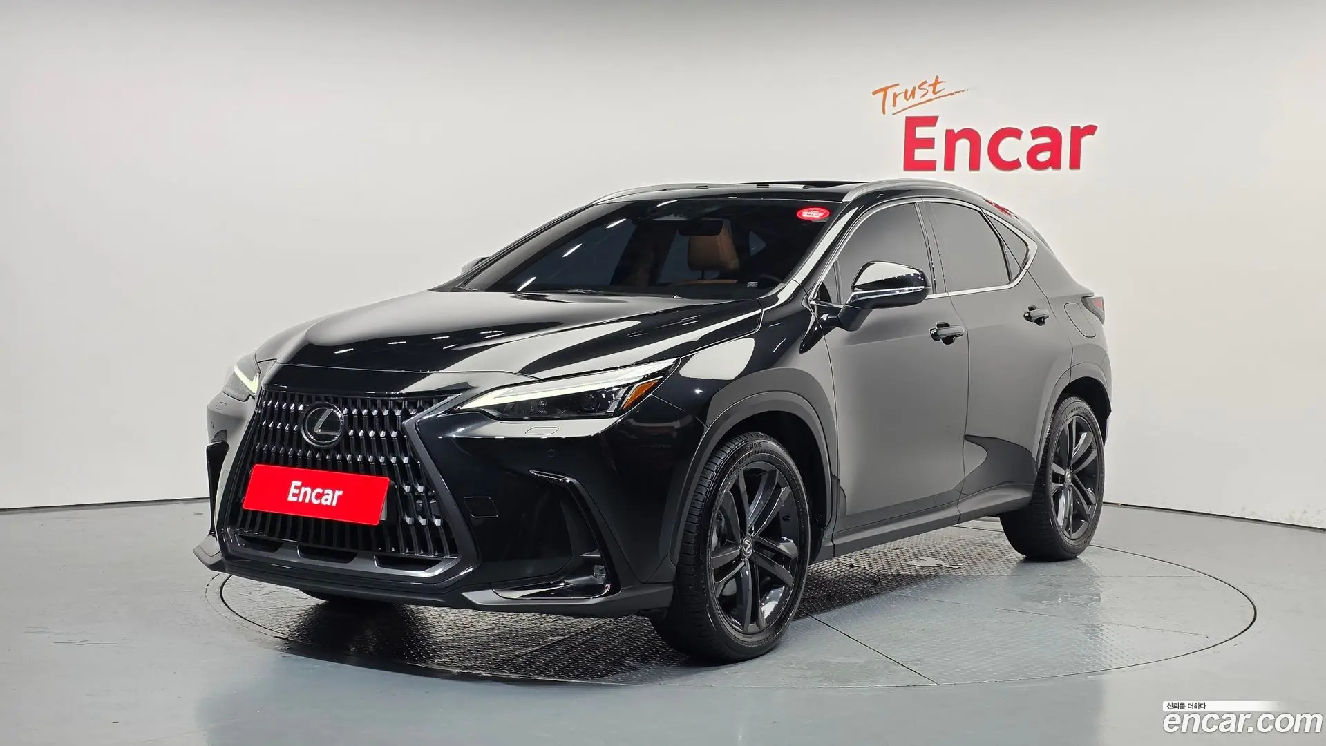 Main__Slider__Photo:NX Lexus 2023.7-0