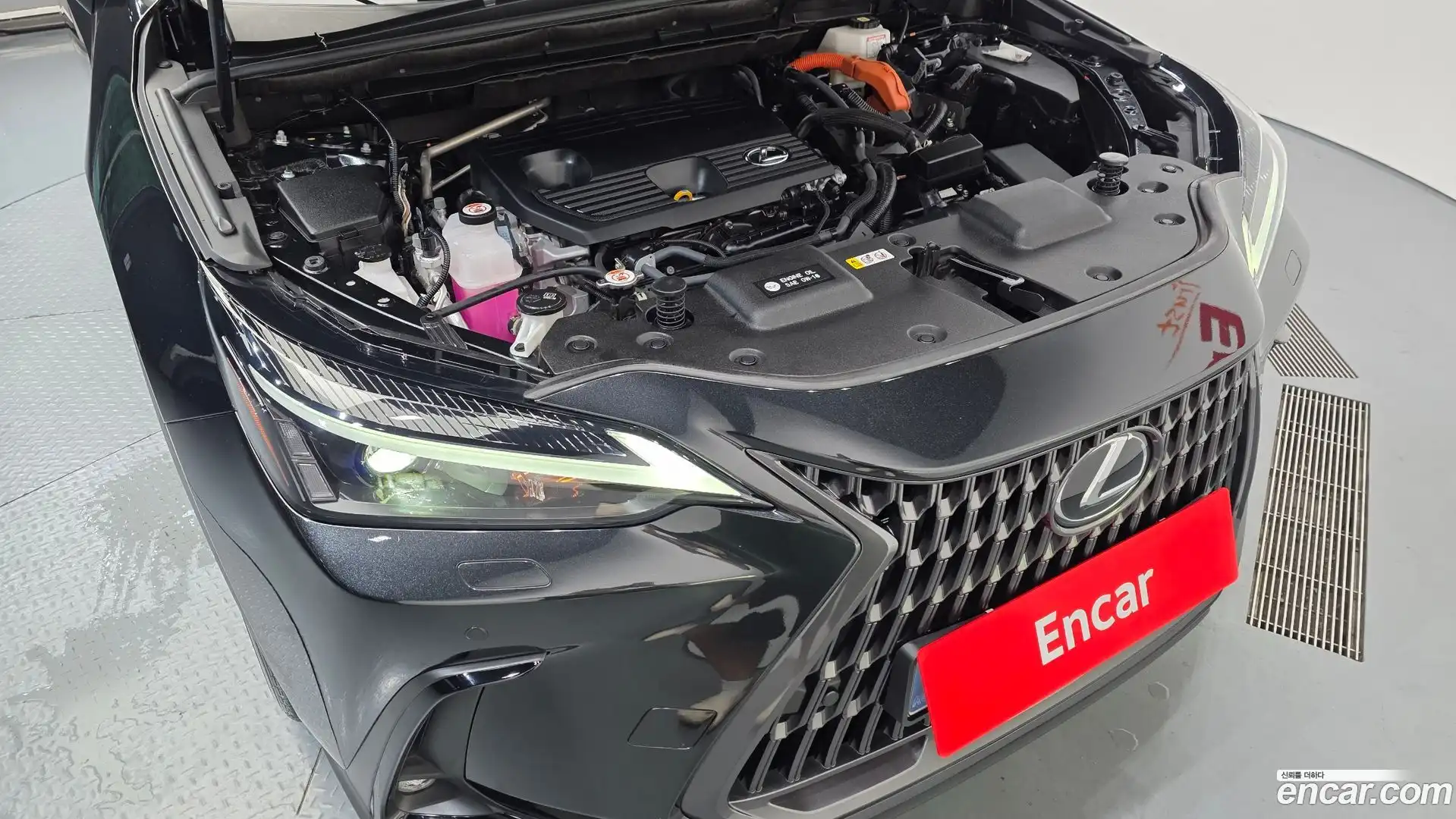 NX Lexus 2023.7-OUTER-006