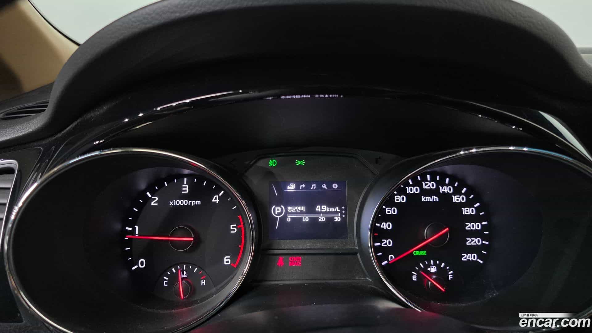 Canival Kia 2016.9-INNER-008