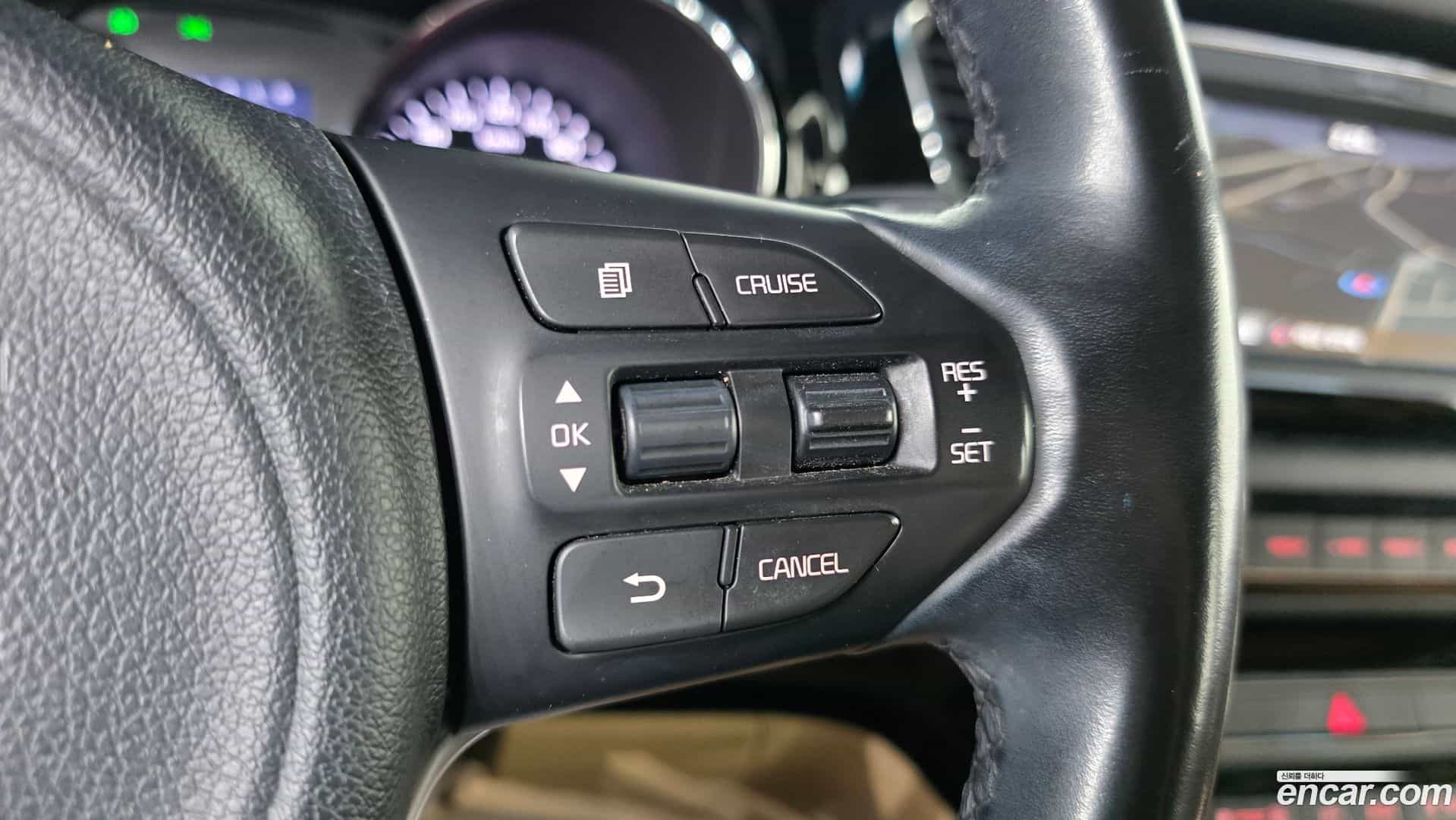 Canival Kia 2016.9-OPTION-021