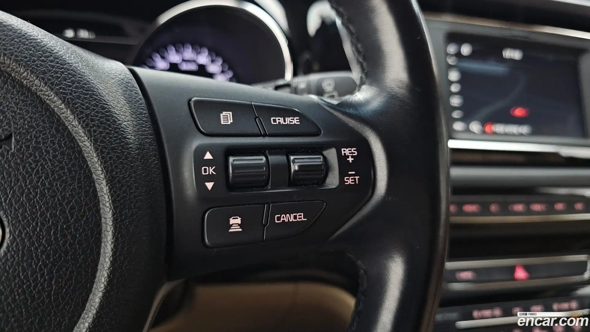Canival Kia 2018.6-OPTION-043