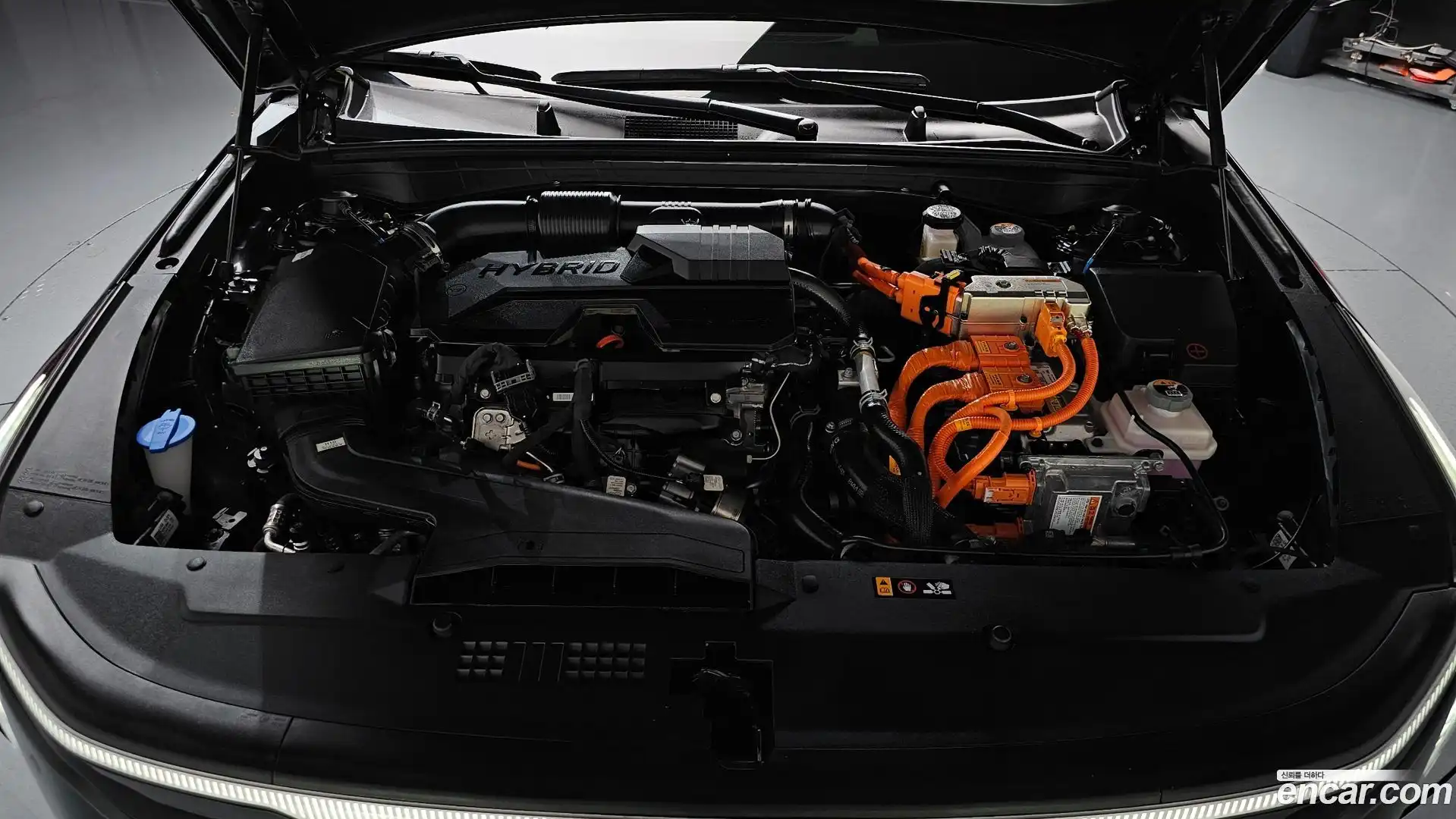 K8 Kia 2025.6-OUTER-006