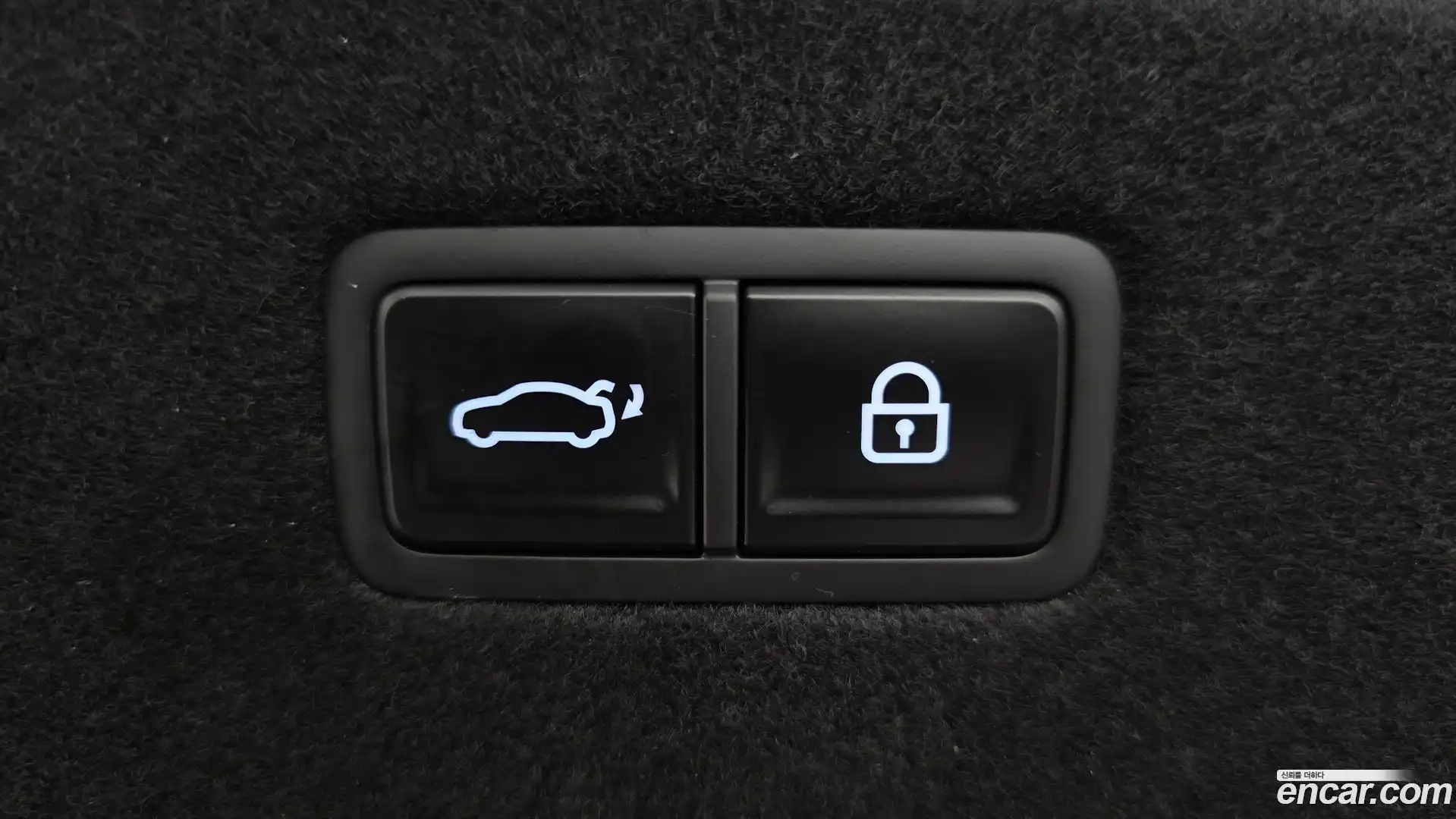 G90 Genesis 2025.5-OPTION-024