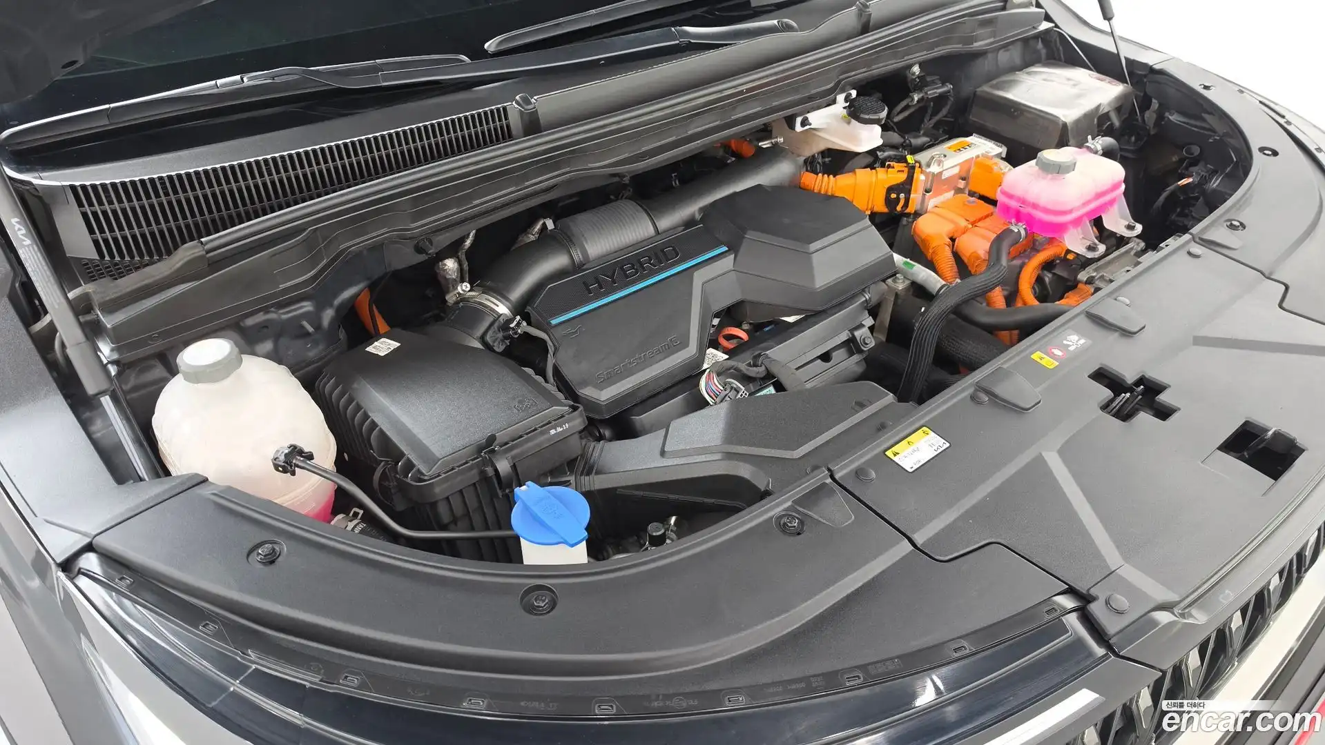 Canival Kia 2024.4-OUTER-006