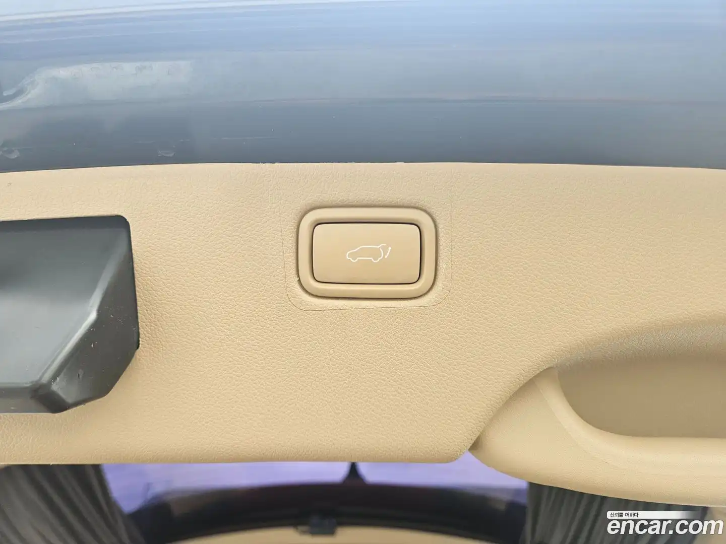 Canival Kia 2018.11-OPTION-023