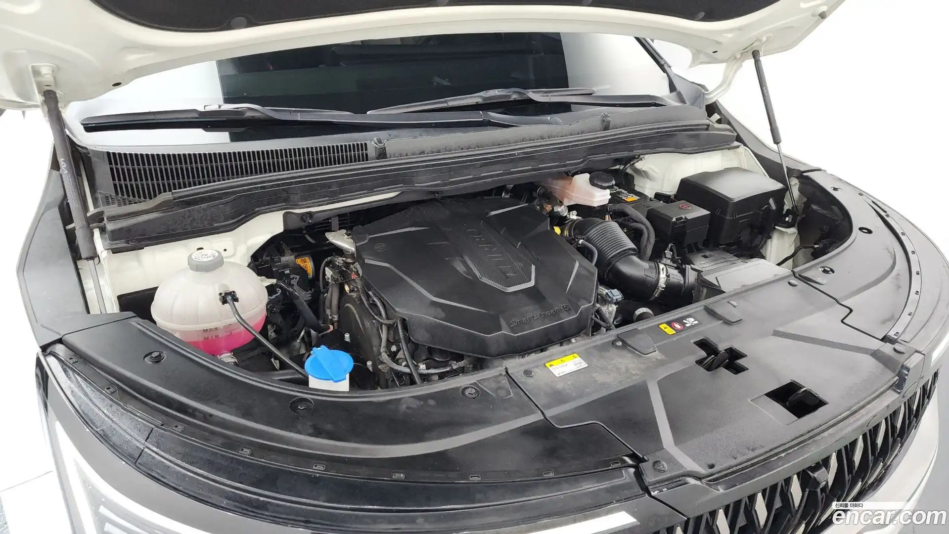 Canival Kia 2024.6-OUTER-006
