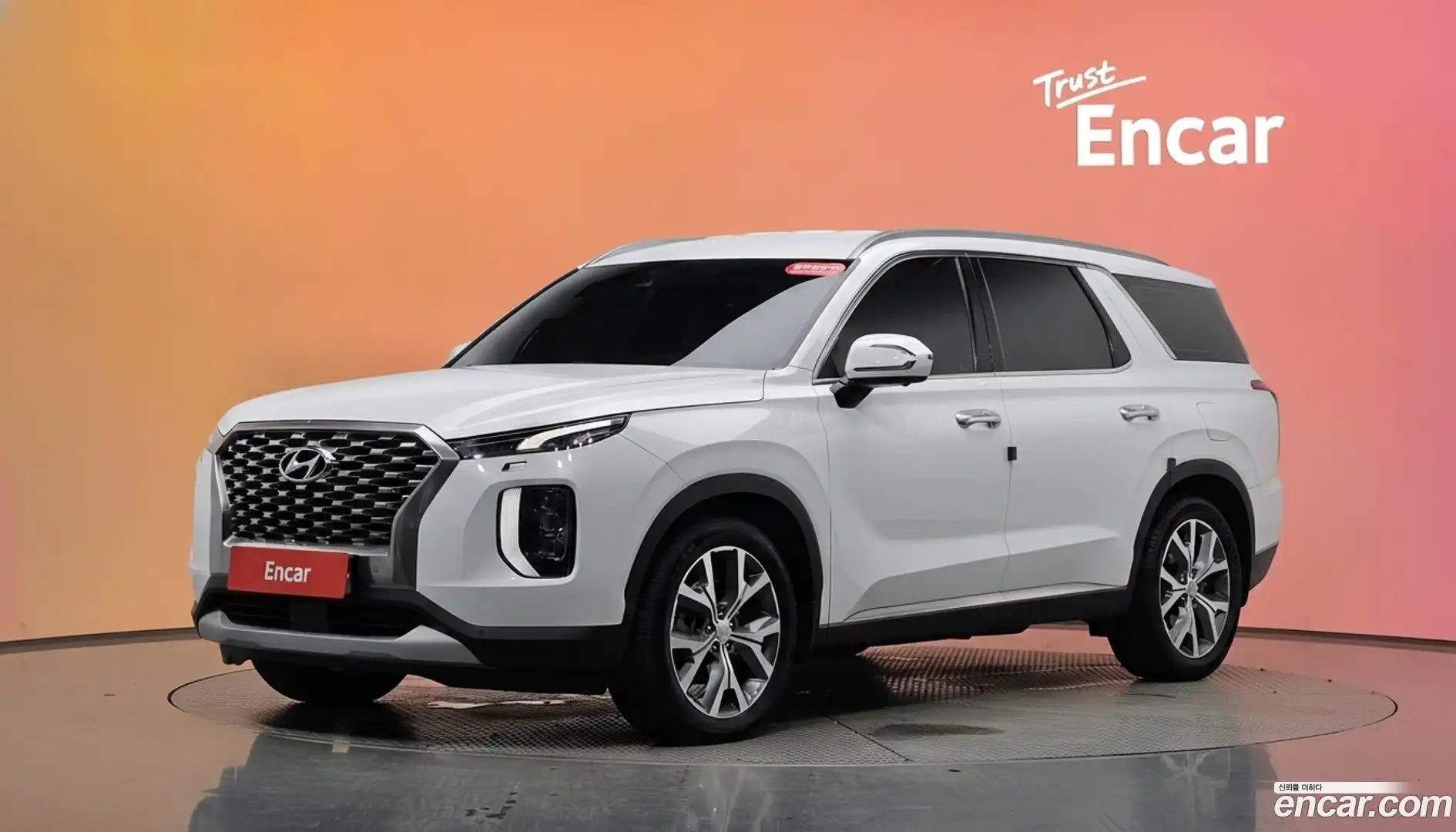 Palisade Hyundai 2019.4-DIAG2-001
