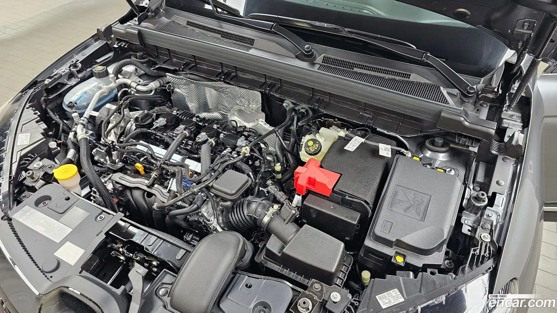 Arkana Renault Korea 2026.6-OUTER-006