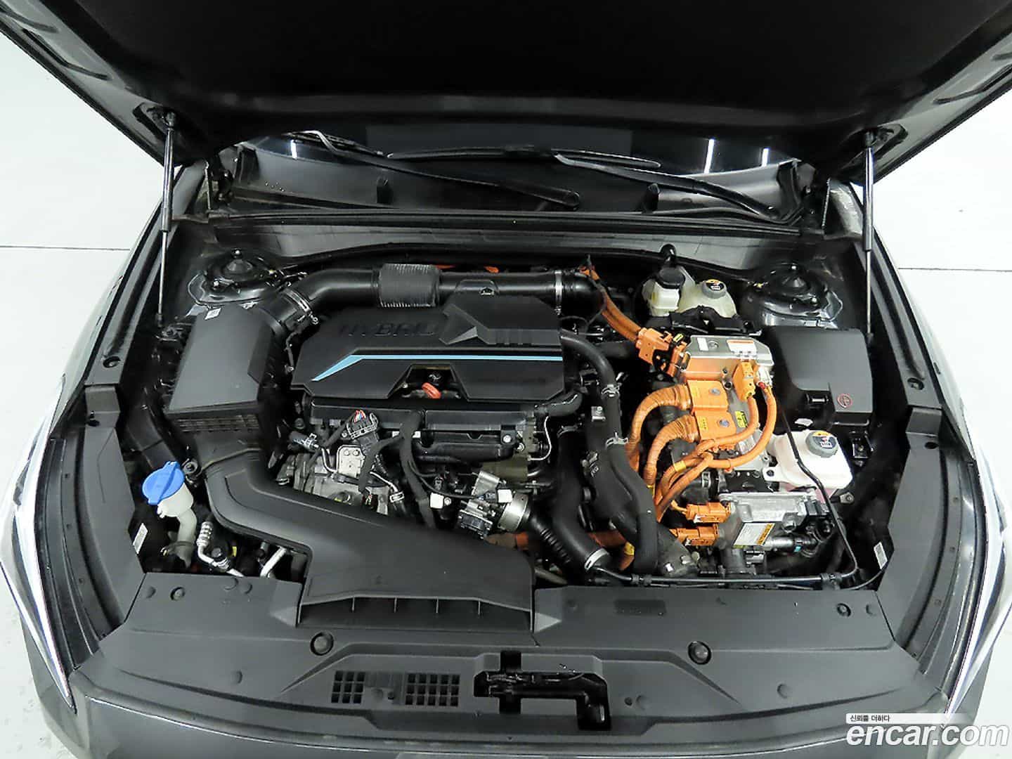 K8 Kia 2022.3-OPTION-023