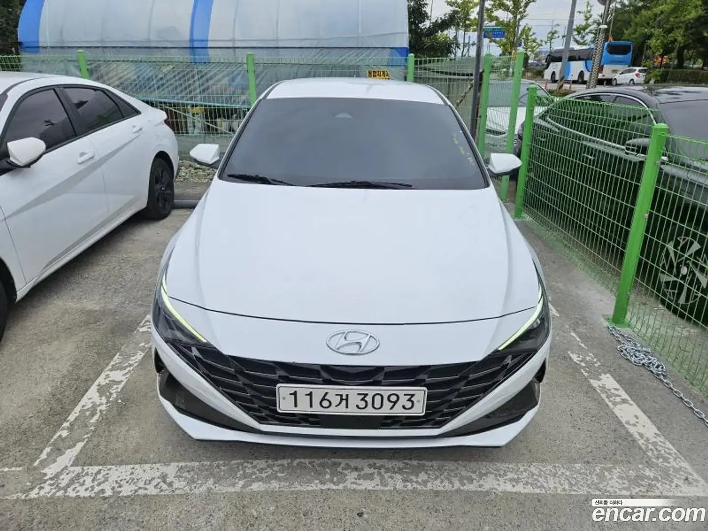 Main__Slider__Photo:AVANTE Hyundai 2022.4-1