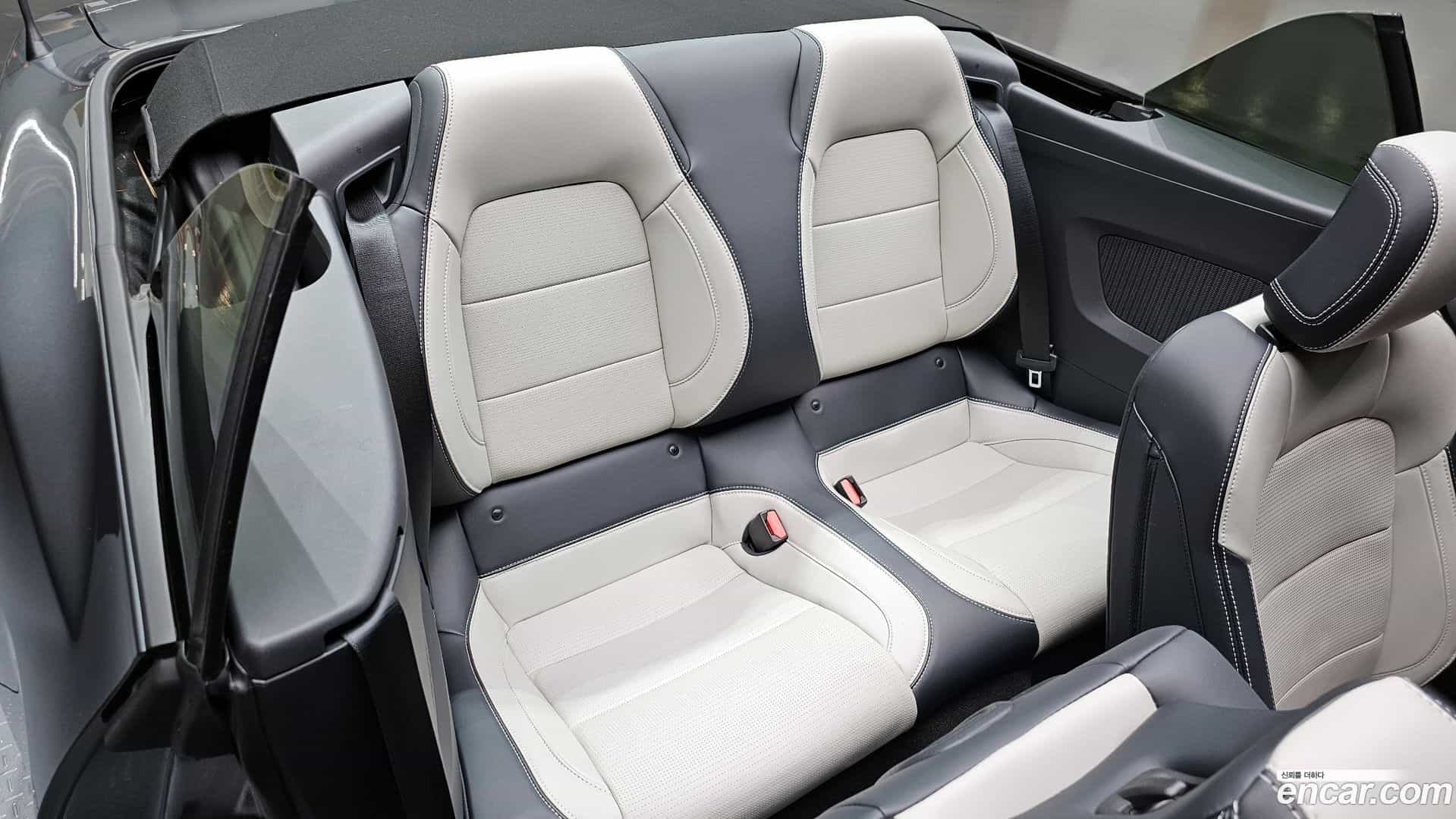 Mustang Ford 2024.11-OPTION-016