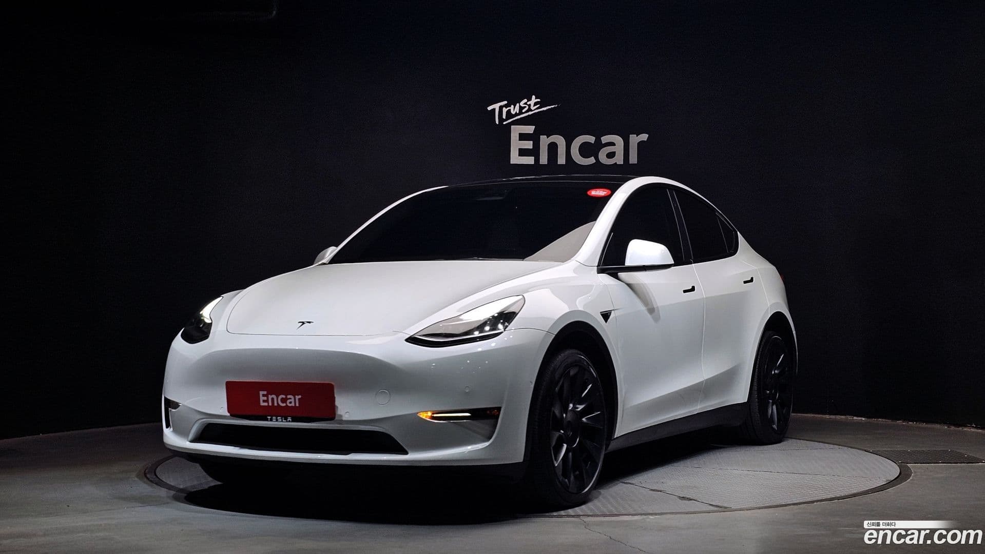 Main__Slider__Photo:Model Y Tesla 2022.8-0