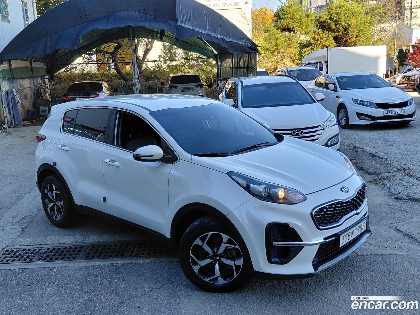 Main__Slider__Photo:Sportage Kia 2020.8-0