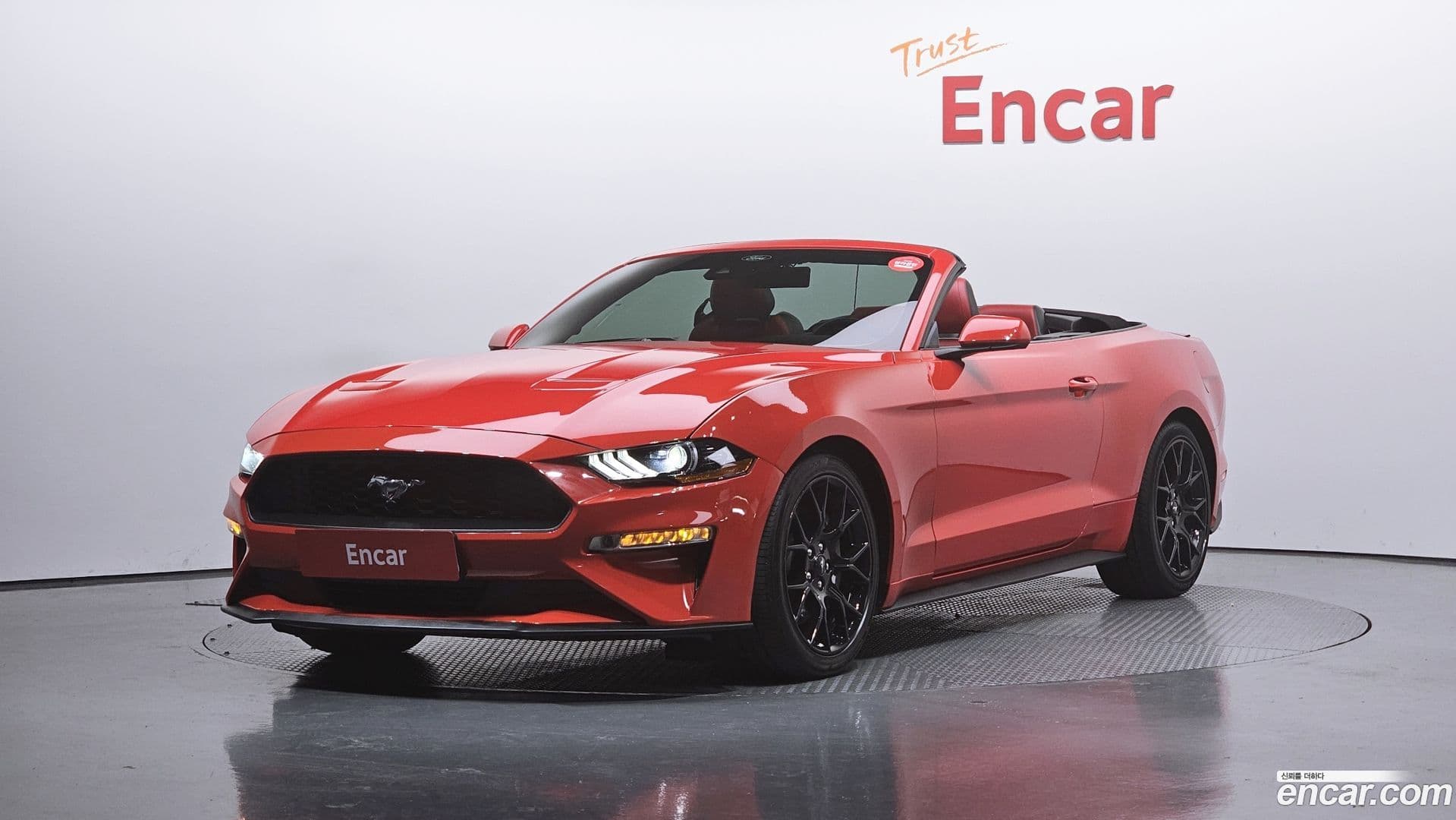 Main__Slider__Photo:Mustang Ford 2021.11-0