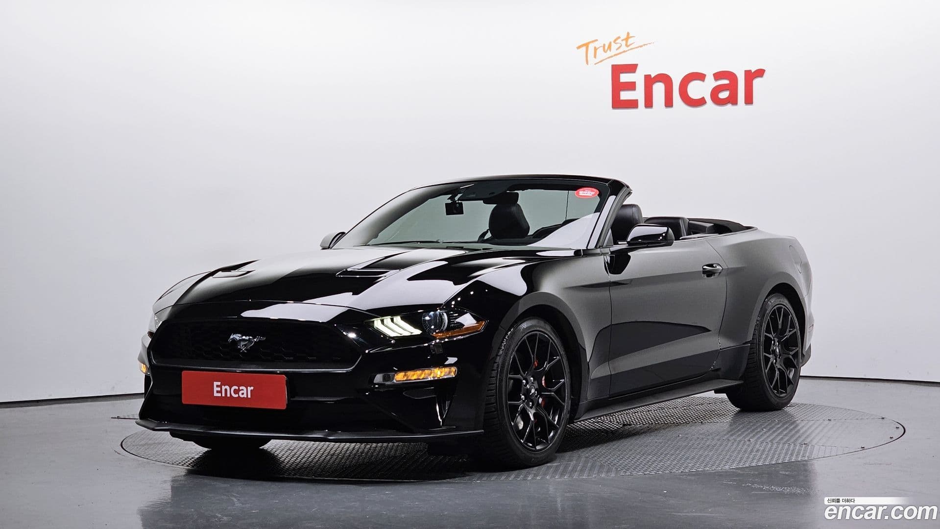 Main__Slider__Photo:Mustang Ford 2019.10-0