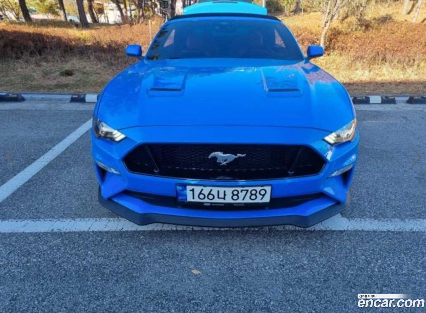 Main__Slider__Photo:Mustang Ford 2022.11-0
