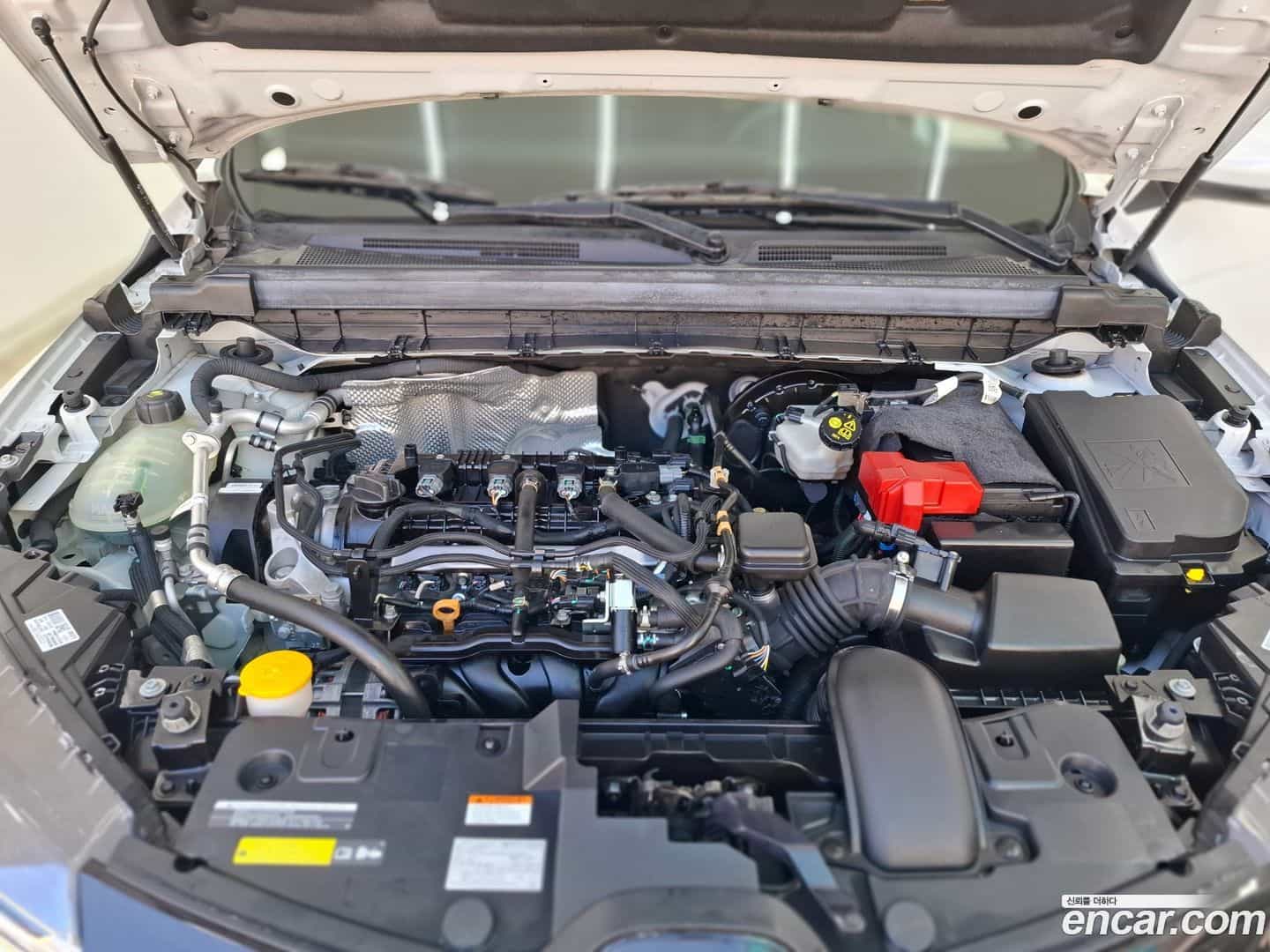 XM3 Renault Korea 2020.4-OPTION-024