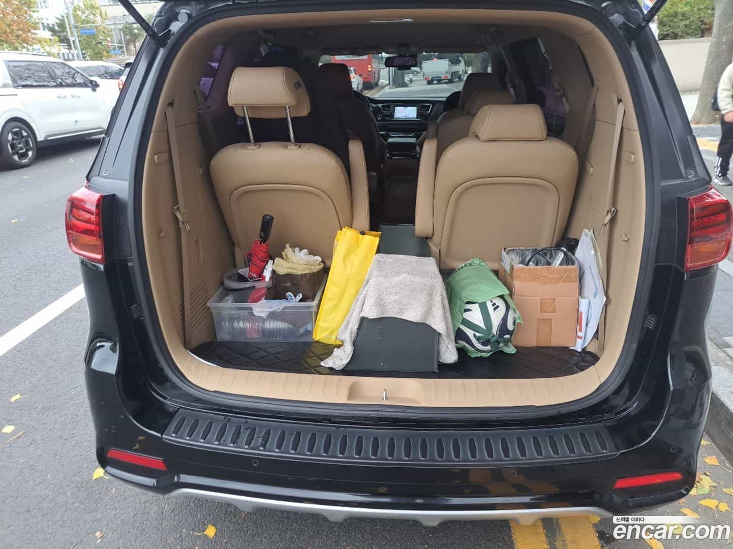 Canival Kia 2018.4-OPTION-016