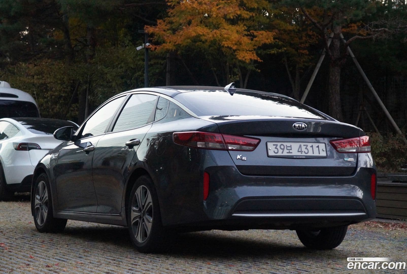 Main__Slider__Photo:K5 Kia 2016.6-0