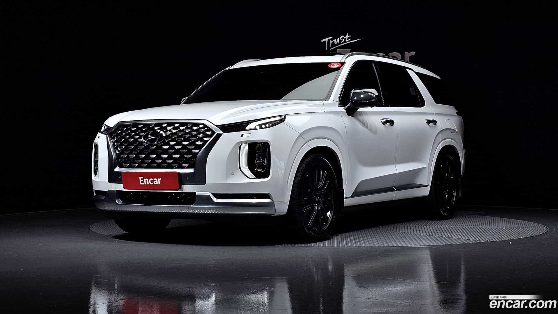Palisade Hyundai 2020.11-OUTER-001