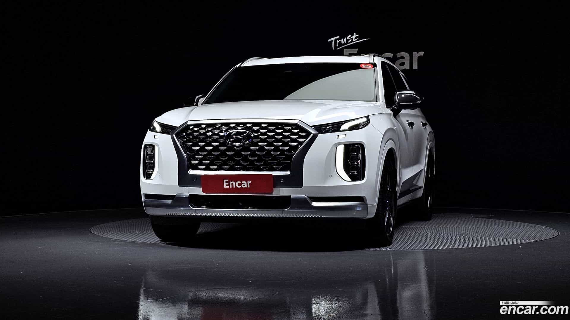 Palisade Hyundai 2020.11-OUTER-003