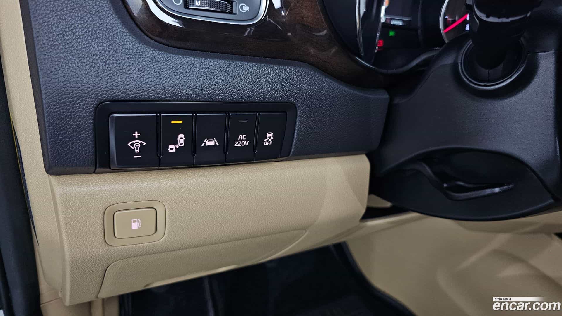 Canival Kia 2018.10-OPTION-020