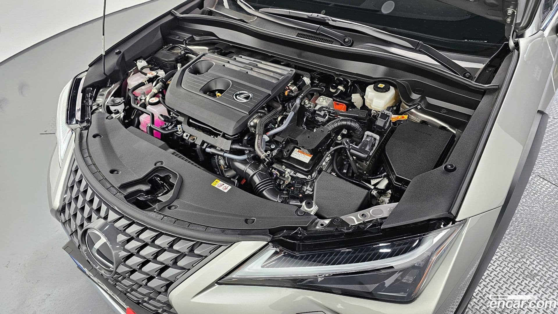 Main__Slider__Photo:UX Lexus 2024.8-5