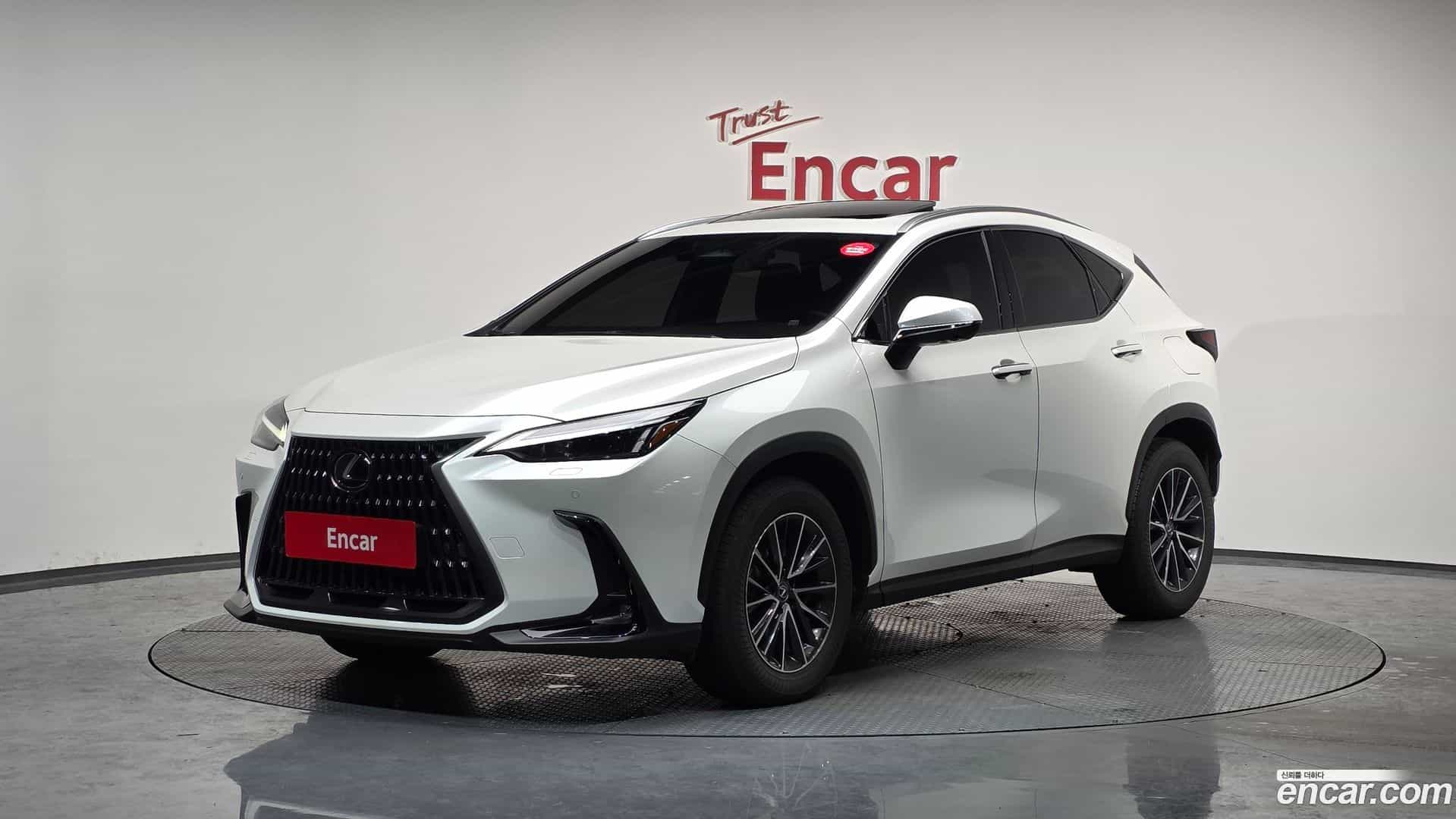 NX Lexus 2024.6-OUTER-001