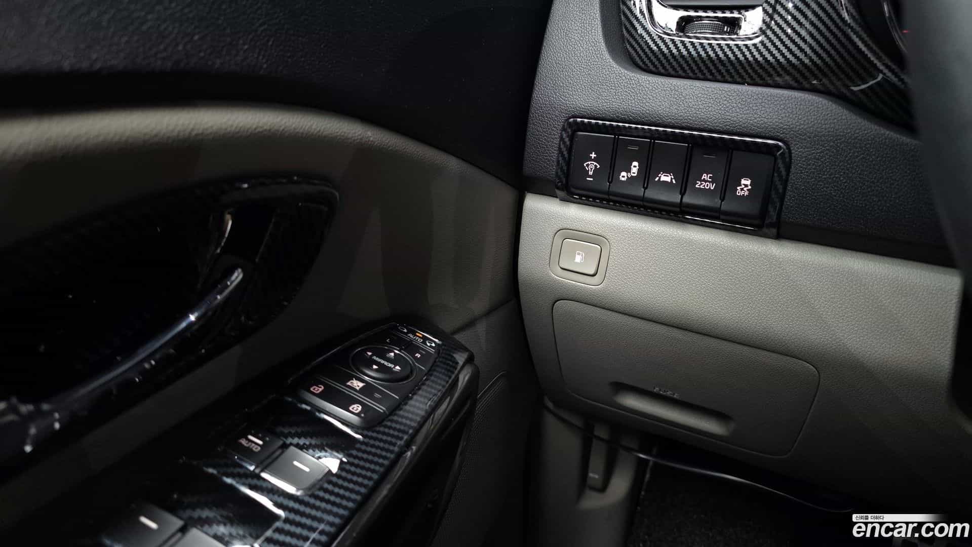 Canival Kia 2018.10-OPTION-022