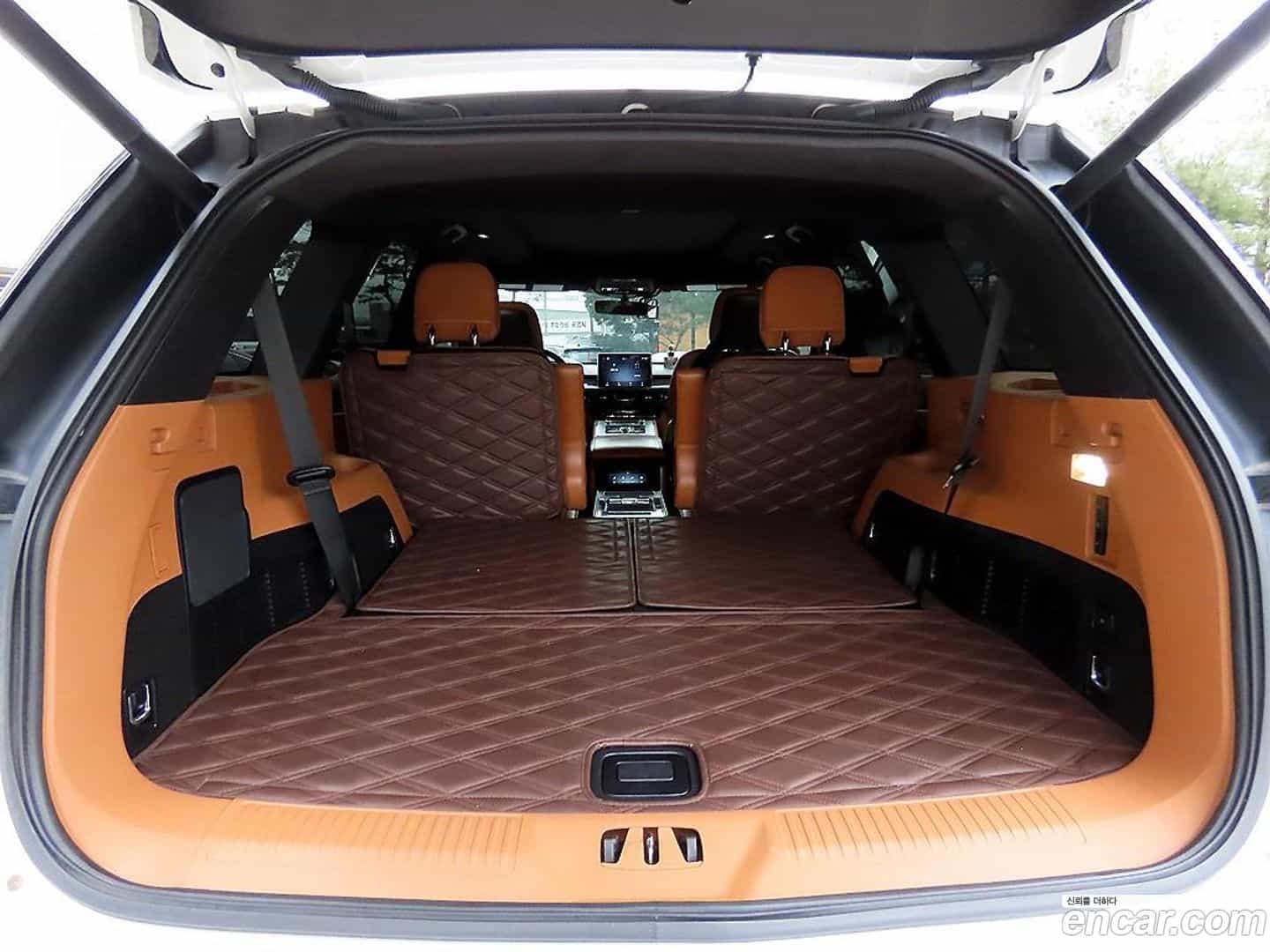 Aviator Lincoln 2021.0-OPTION-021