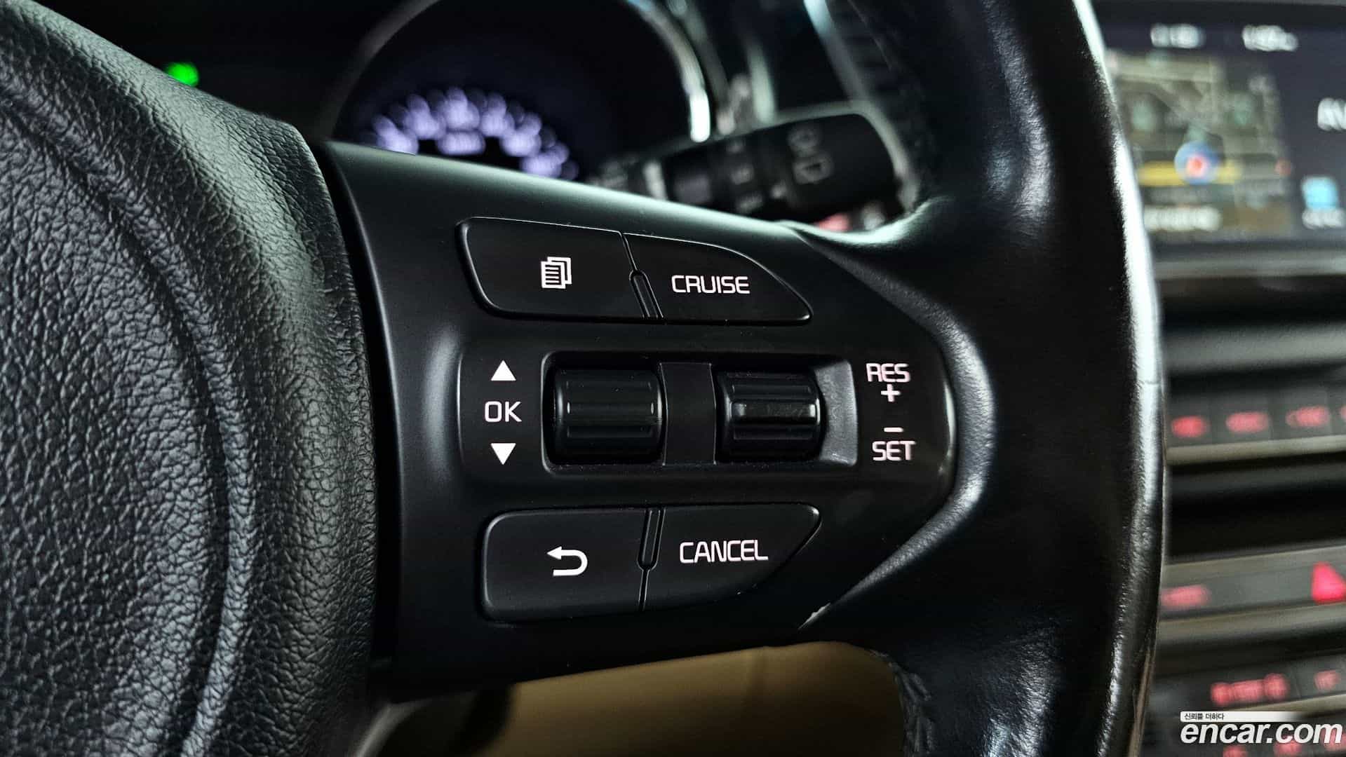 Canival Kia 2016.10-OPTION-018