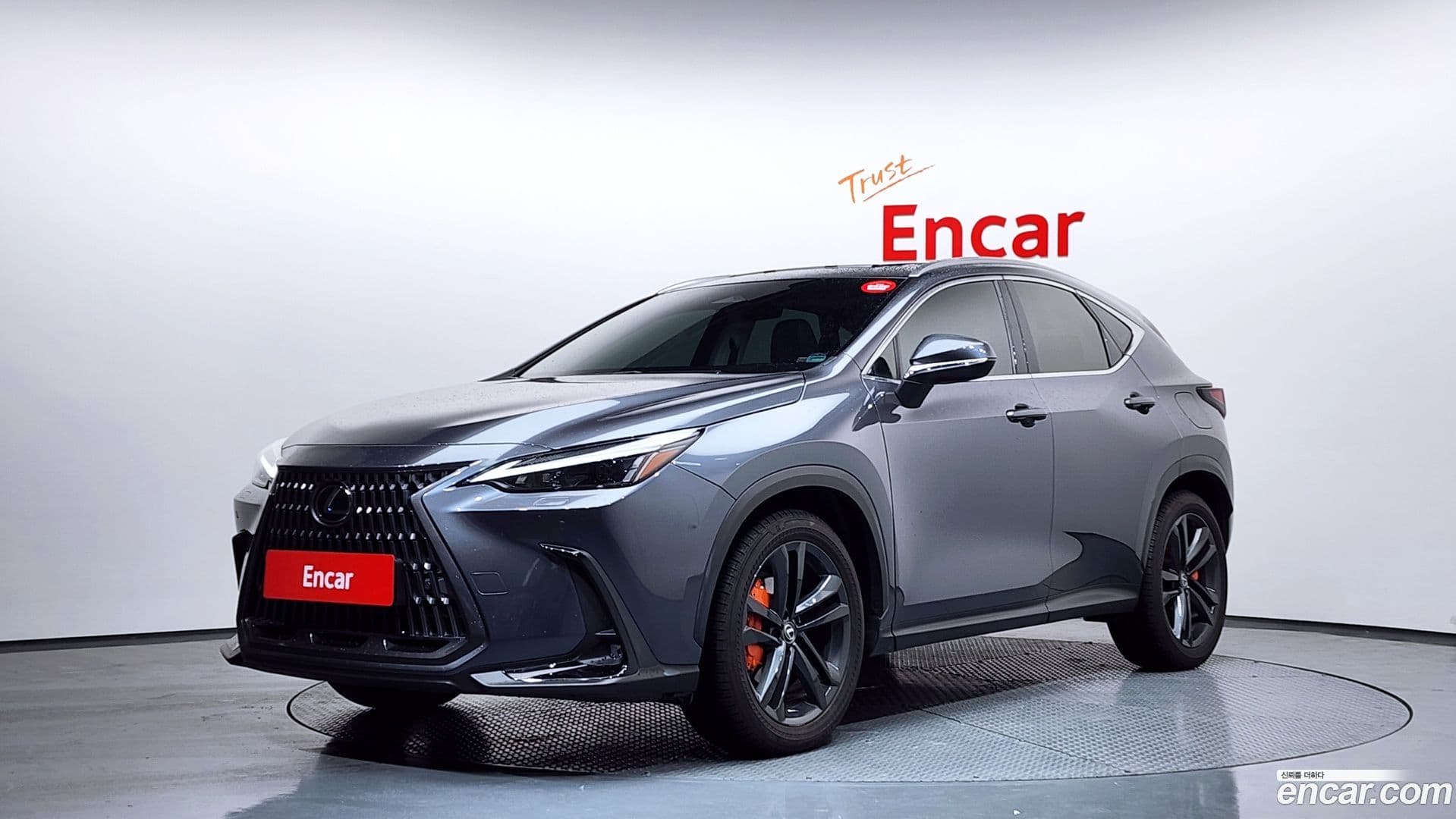 Main__Slider__Photo:NX Lexus 2024.0-0