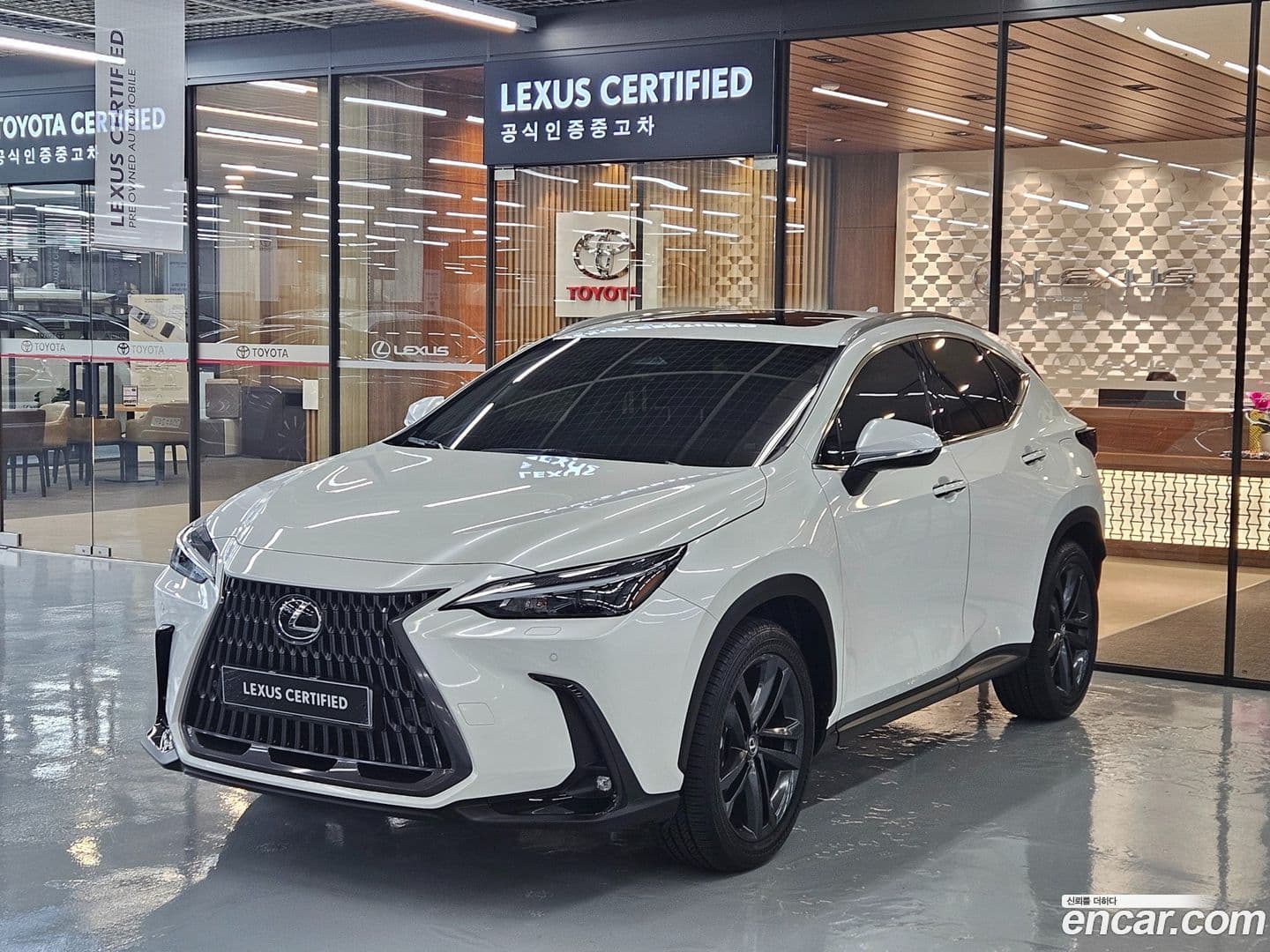Main__Slider__Photo:NX Lexus 2025.3-0