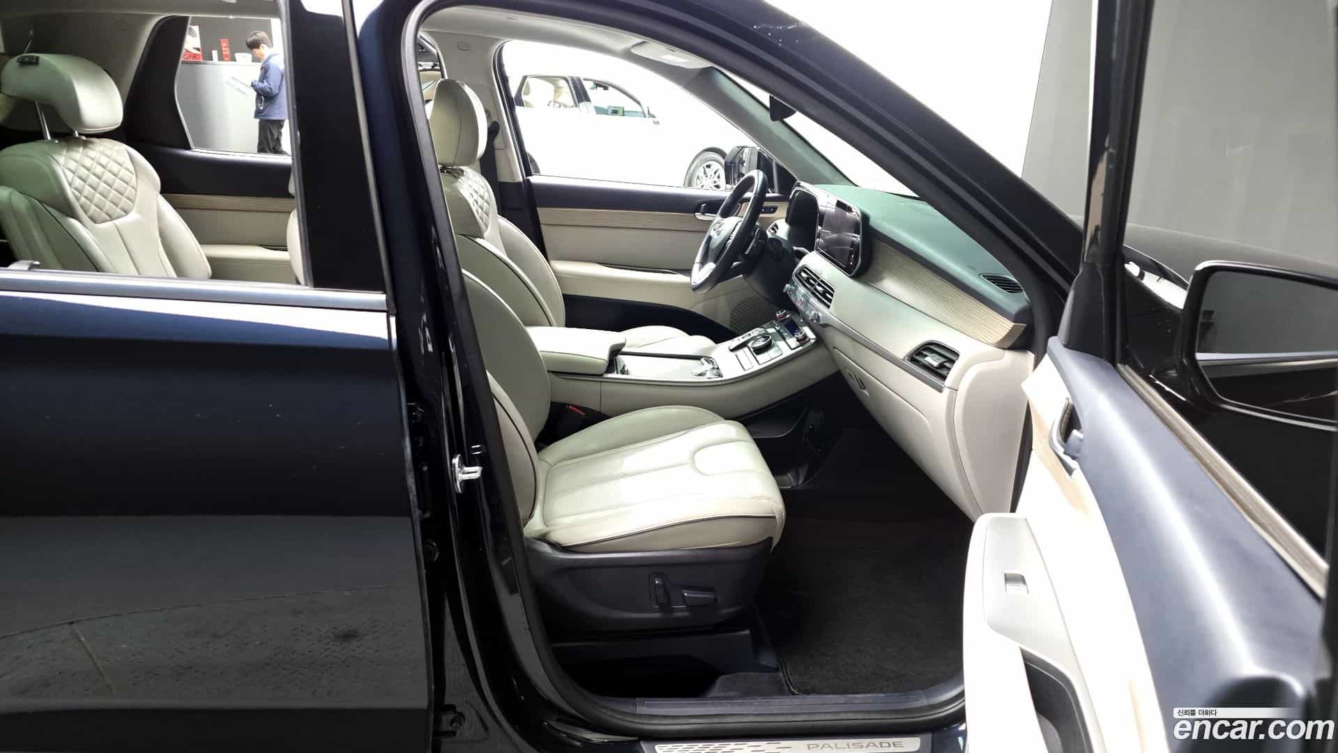 Palisade Hyundai 2019.1-OPTION-015