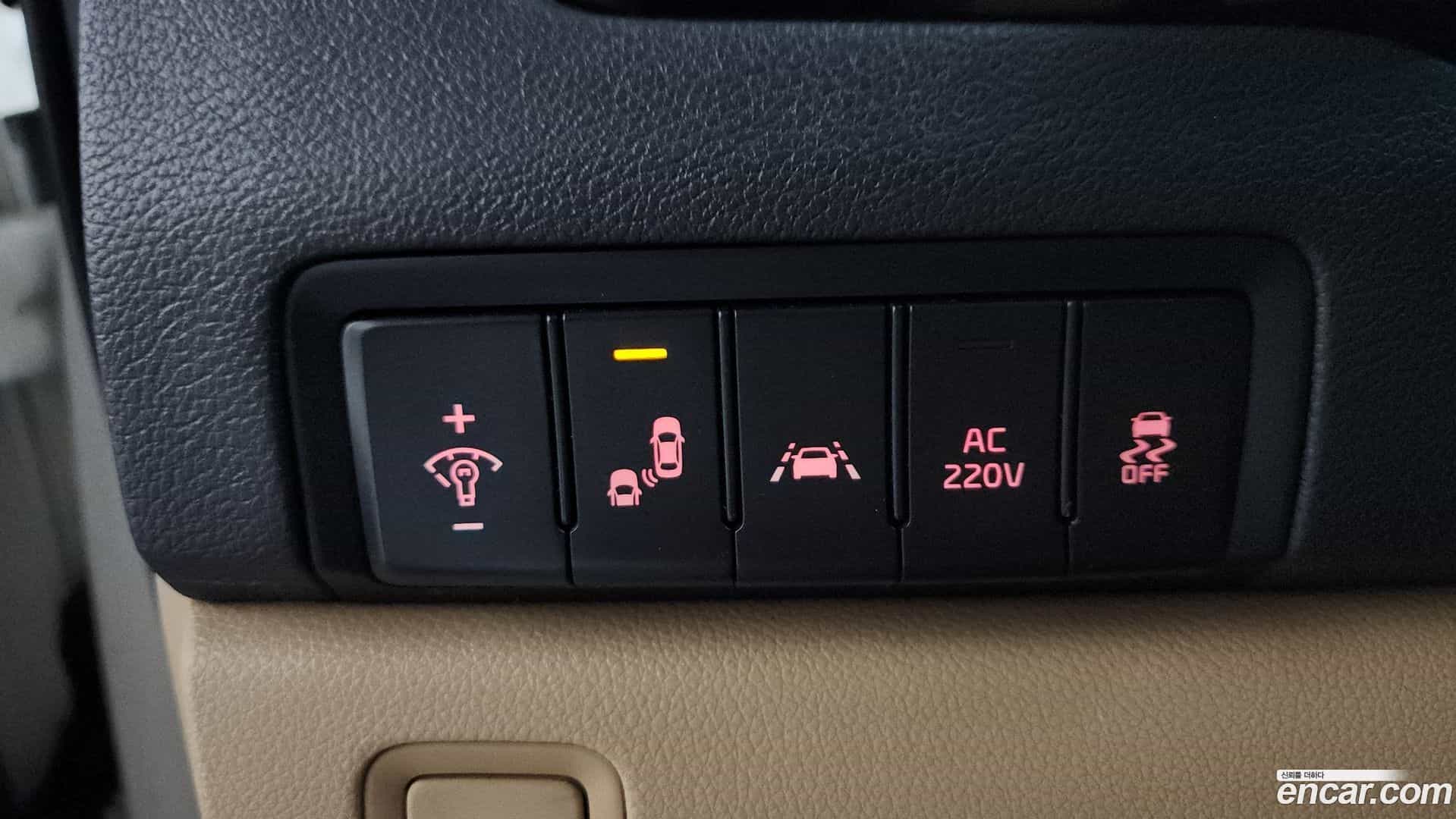 Canival Kia 2019.5-OPTION-020