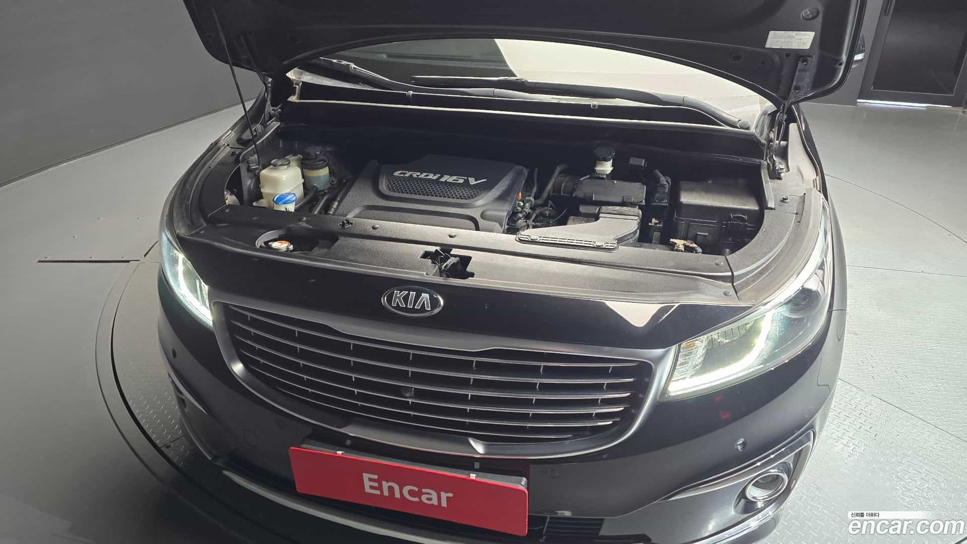 Canival Kia 2016.9-INNER-006