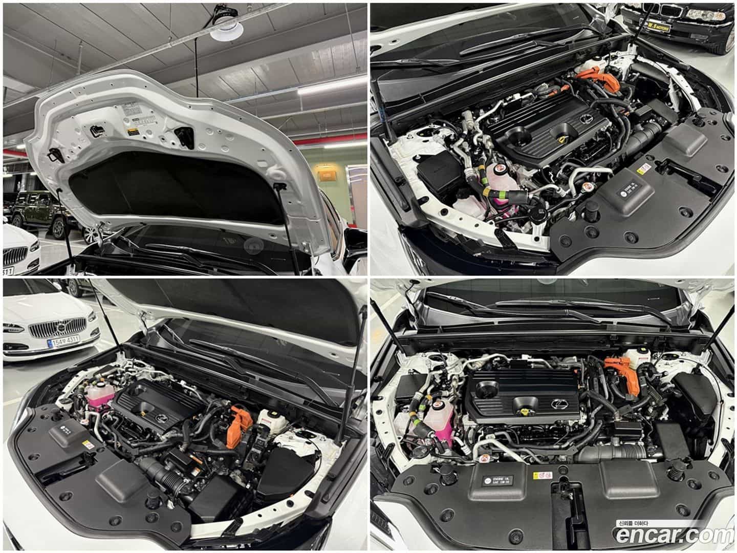 NX Lexus 2023.11-OPTION-023
