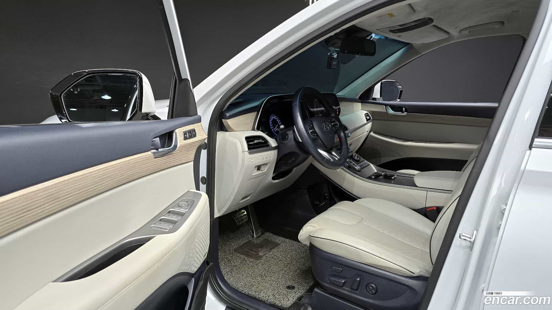 Palisade Hyundai 2019.10-OPTION-015