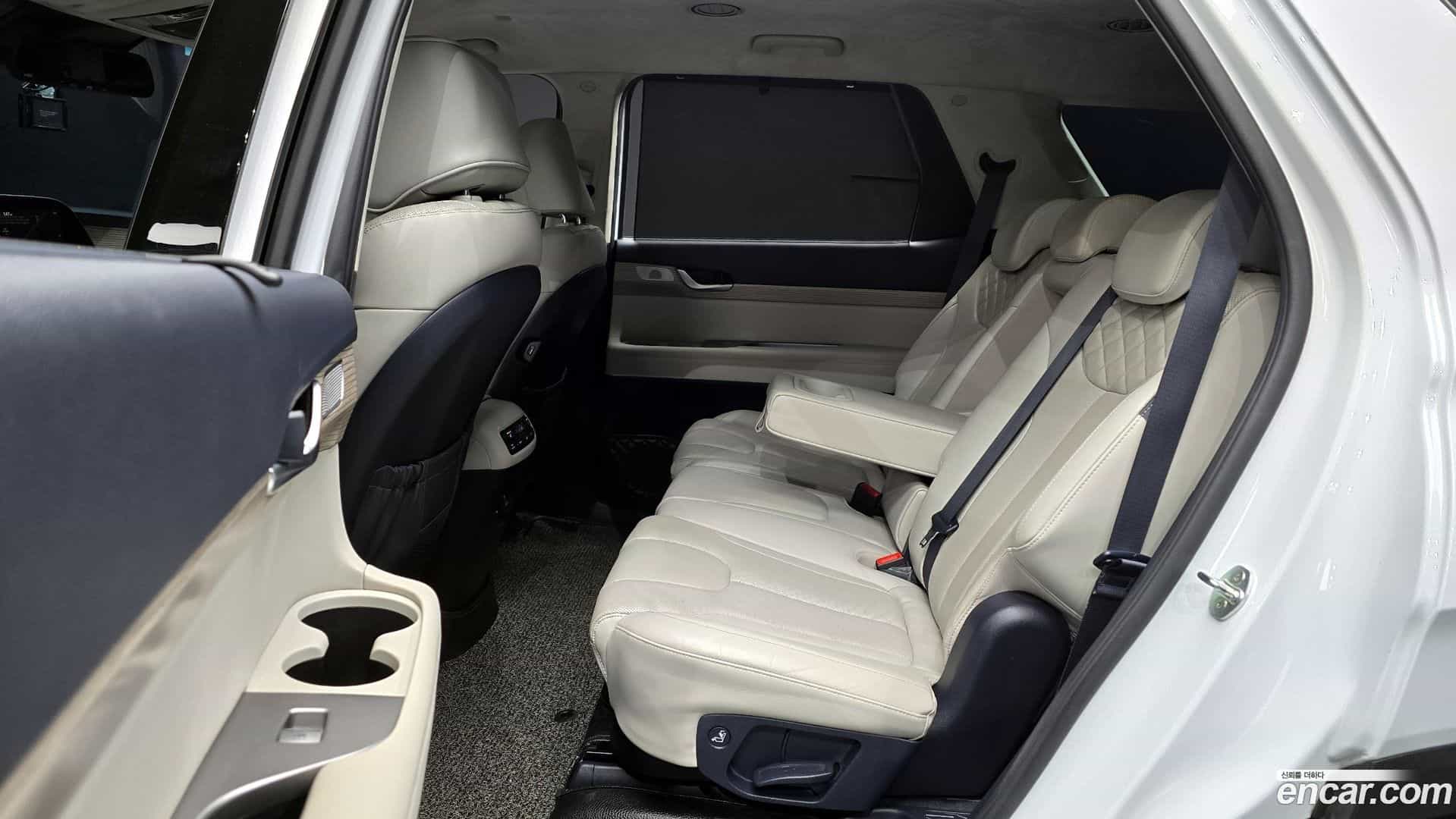 Palisade Hyundai 2019.10-OPTION-016