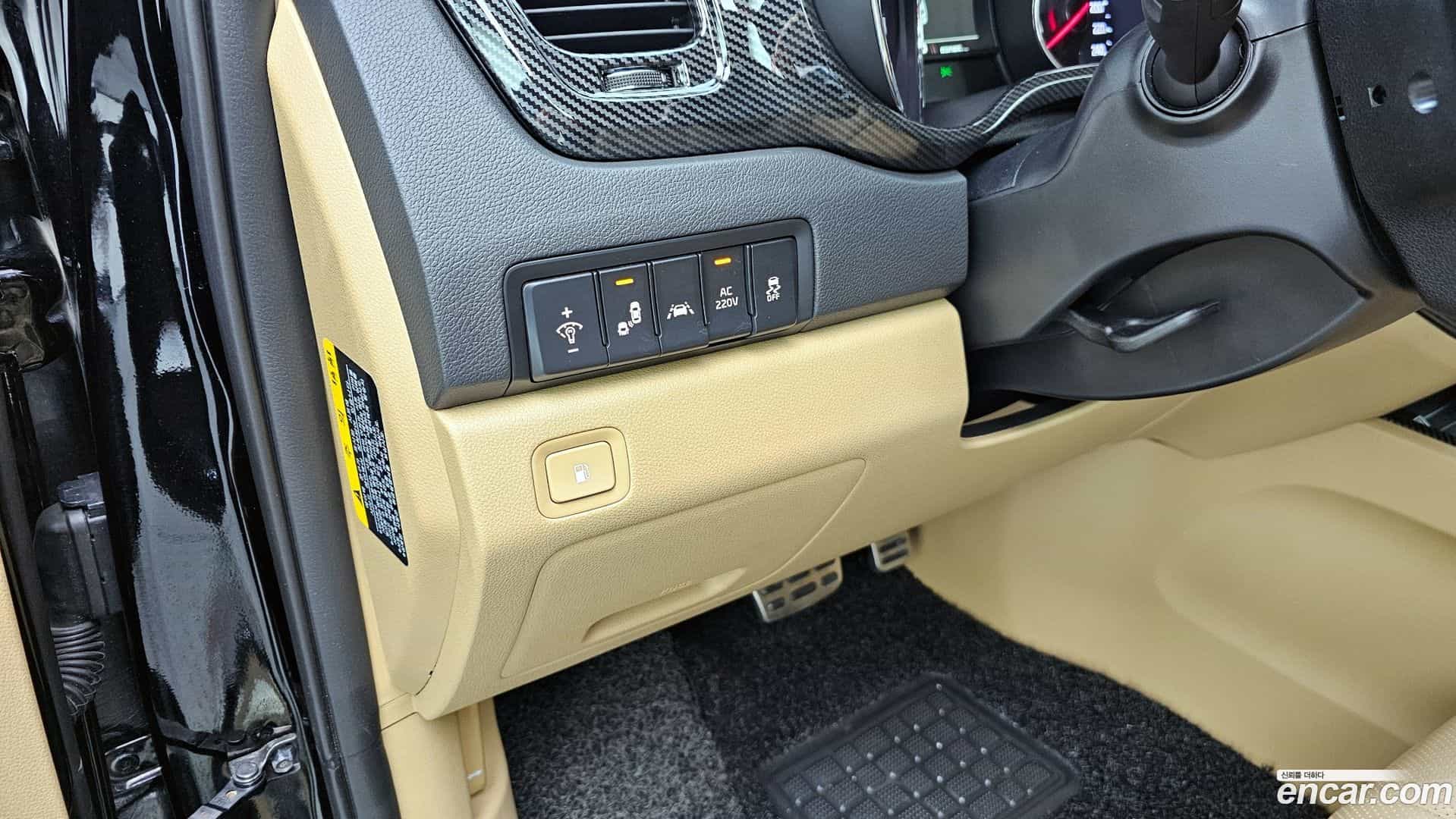 Canival Kia 2018.10-OPTION-020