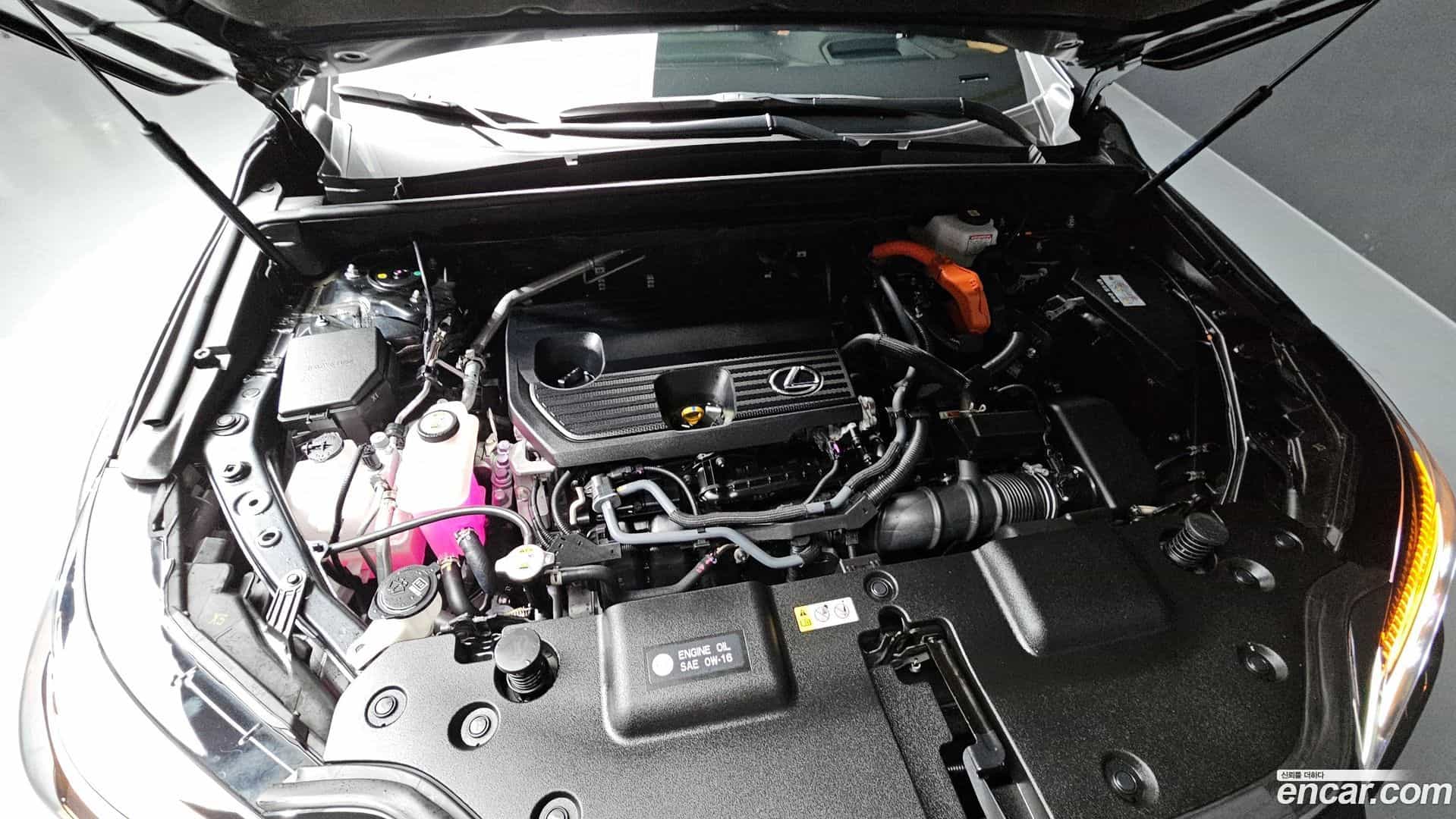 NX Lexus 2024.10-INNER-006