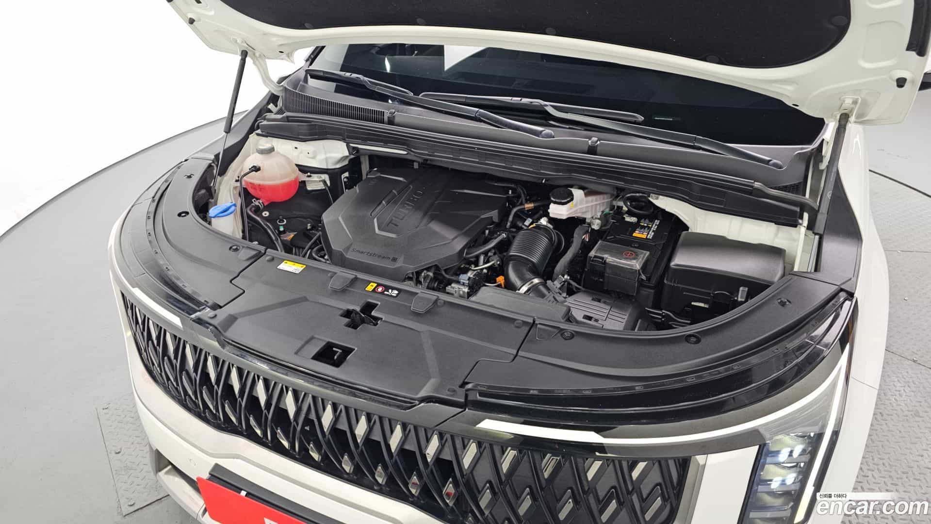 Canival Kia 2024.6-INNER-006