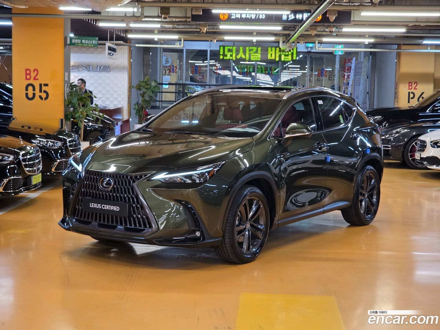 Main__Slider__Photo:NX Lexus 2025.4-0